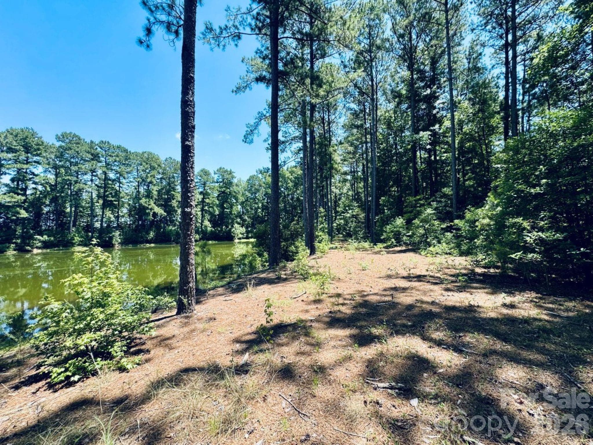 Acreage at 5326 Judson Road, Clio, photo 22 of 40