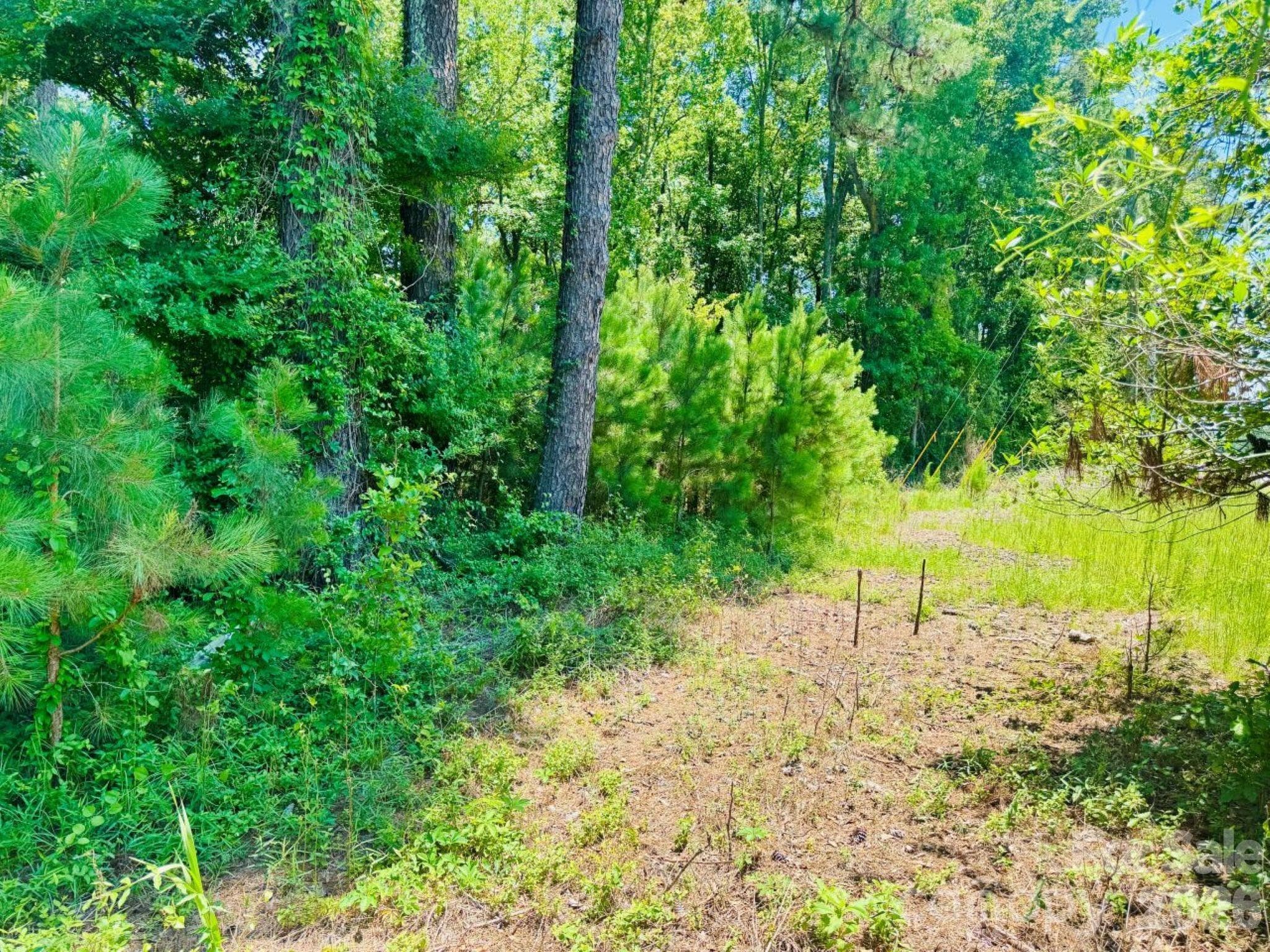 Acreage at 5326 Judson Road, Clio, photo 28 of 40