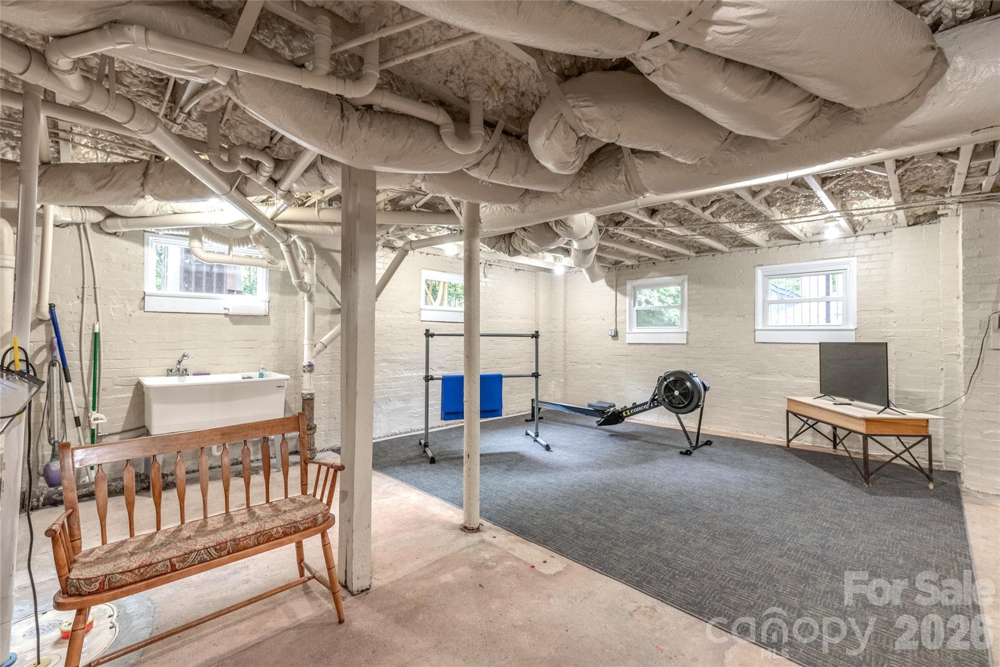 Basement with Sink - 600 S Central Avenue, Belmont