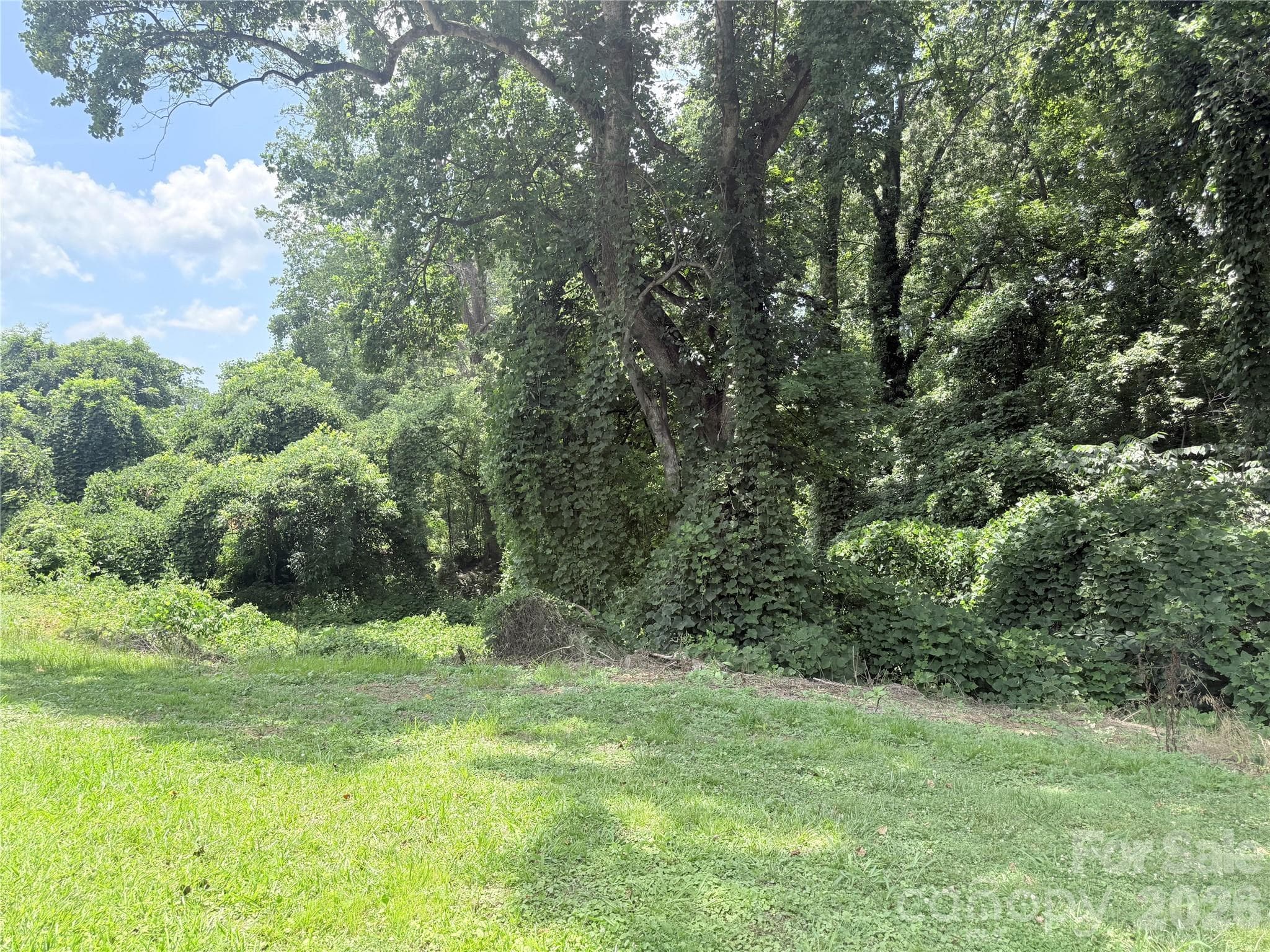 Private Back Yard - 409 Redding Street, Gastonia