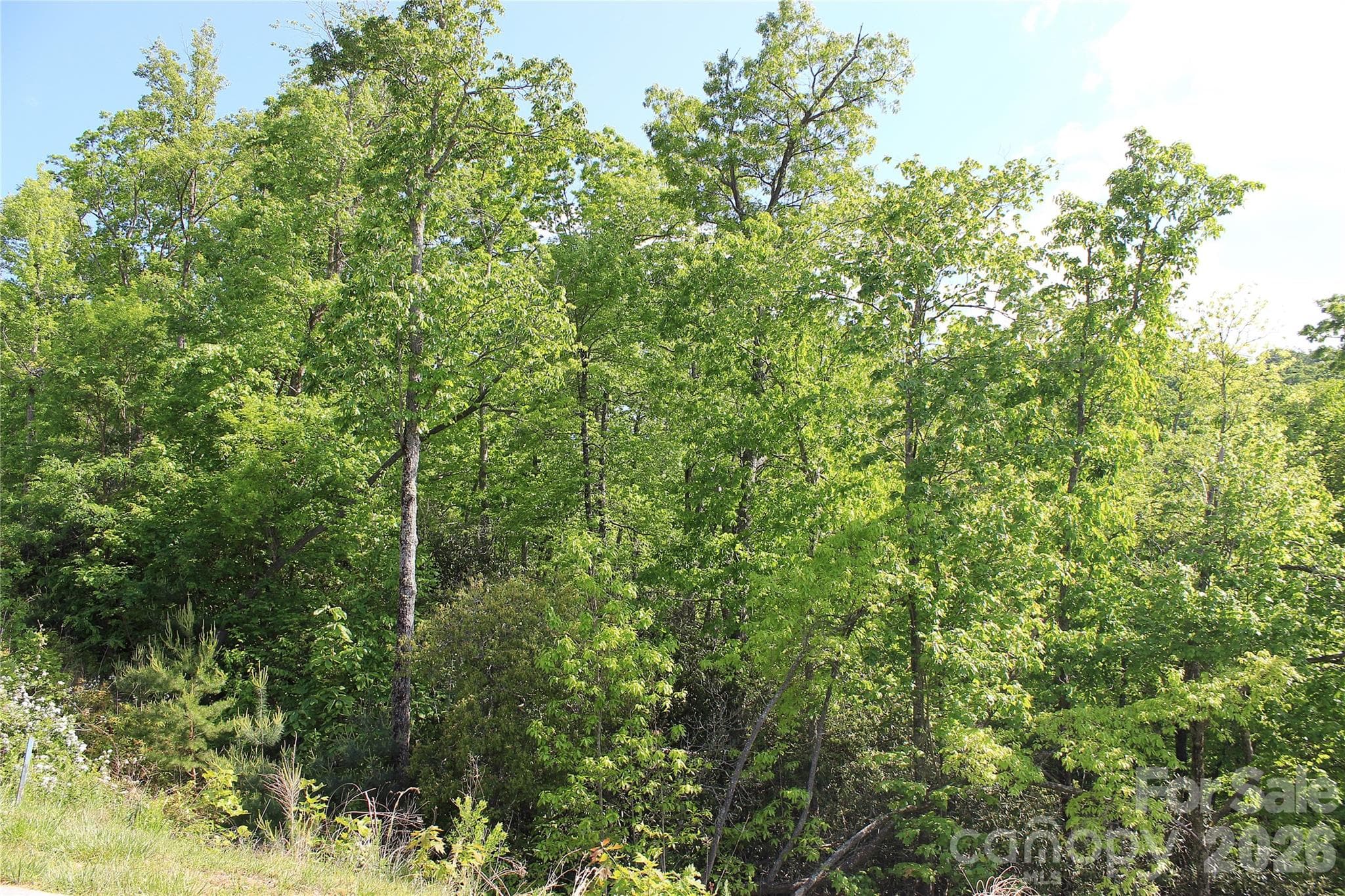 Lot at Hendersonville, photo 2 of 15