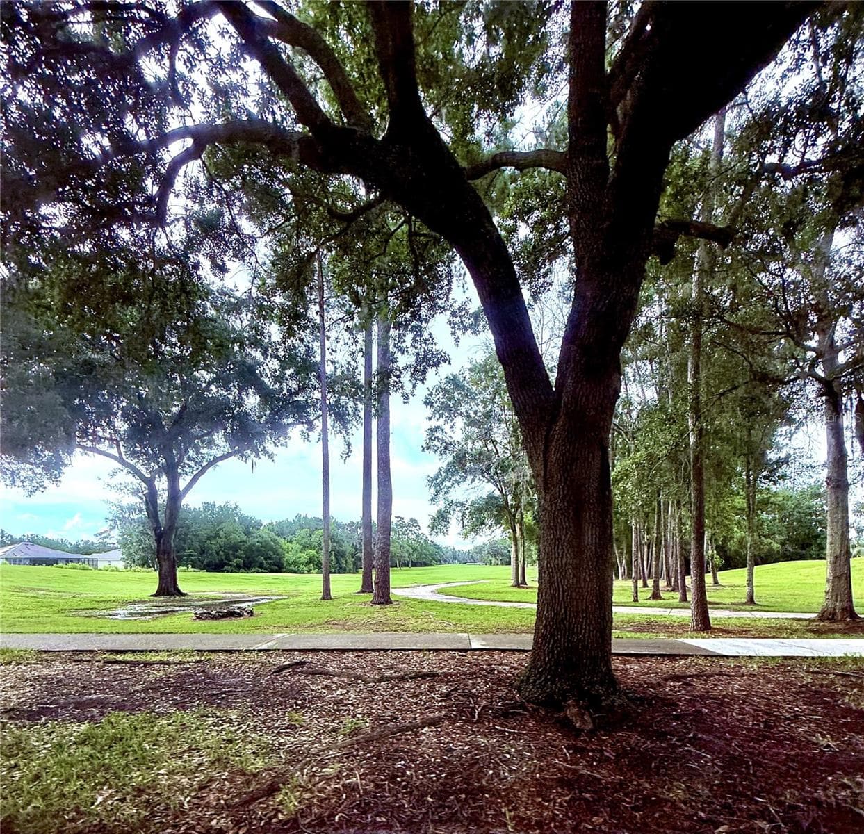 Single Family Residence at 5038 CADIZ CT, BROOKSVILLE, photo 63 of 63