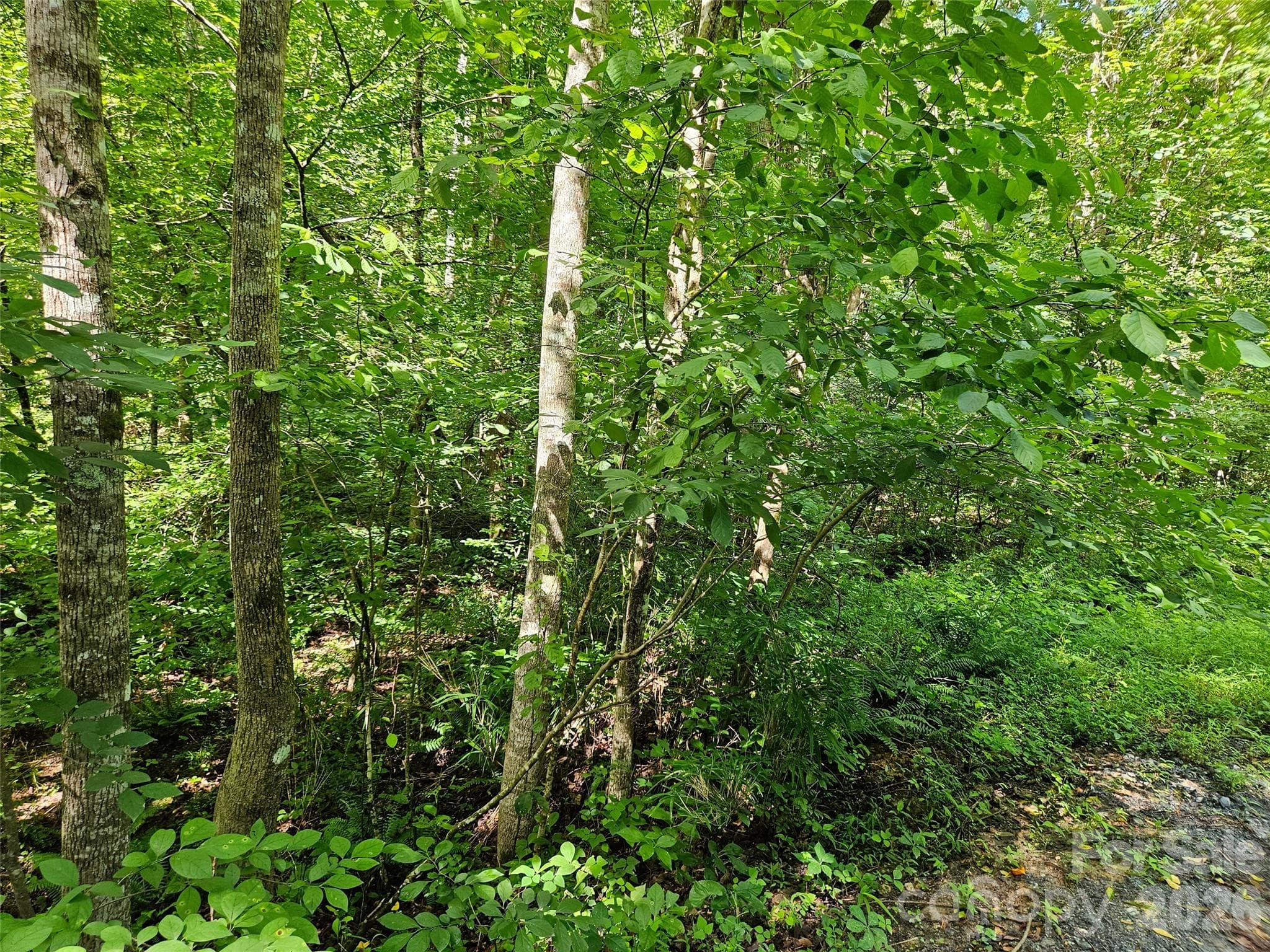 Lot at Lake Lure, photo 2 of 12