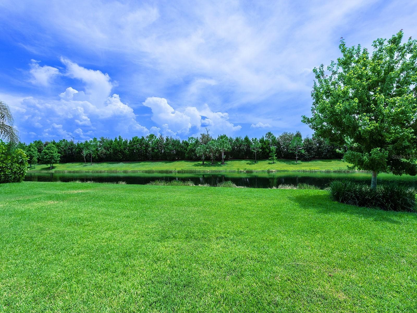 Single Family Residence at 8282 GRANDE SHORES DR, SARASOTA, photo 4 of 87