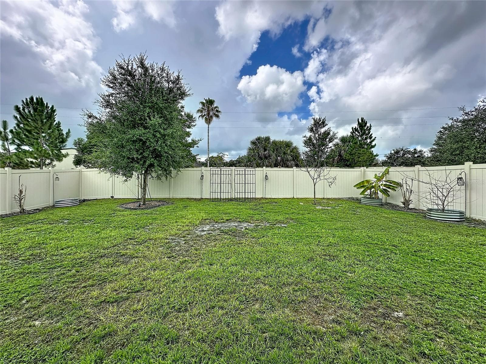 Backyard - 900 HONEY PETAL LN, DELAND