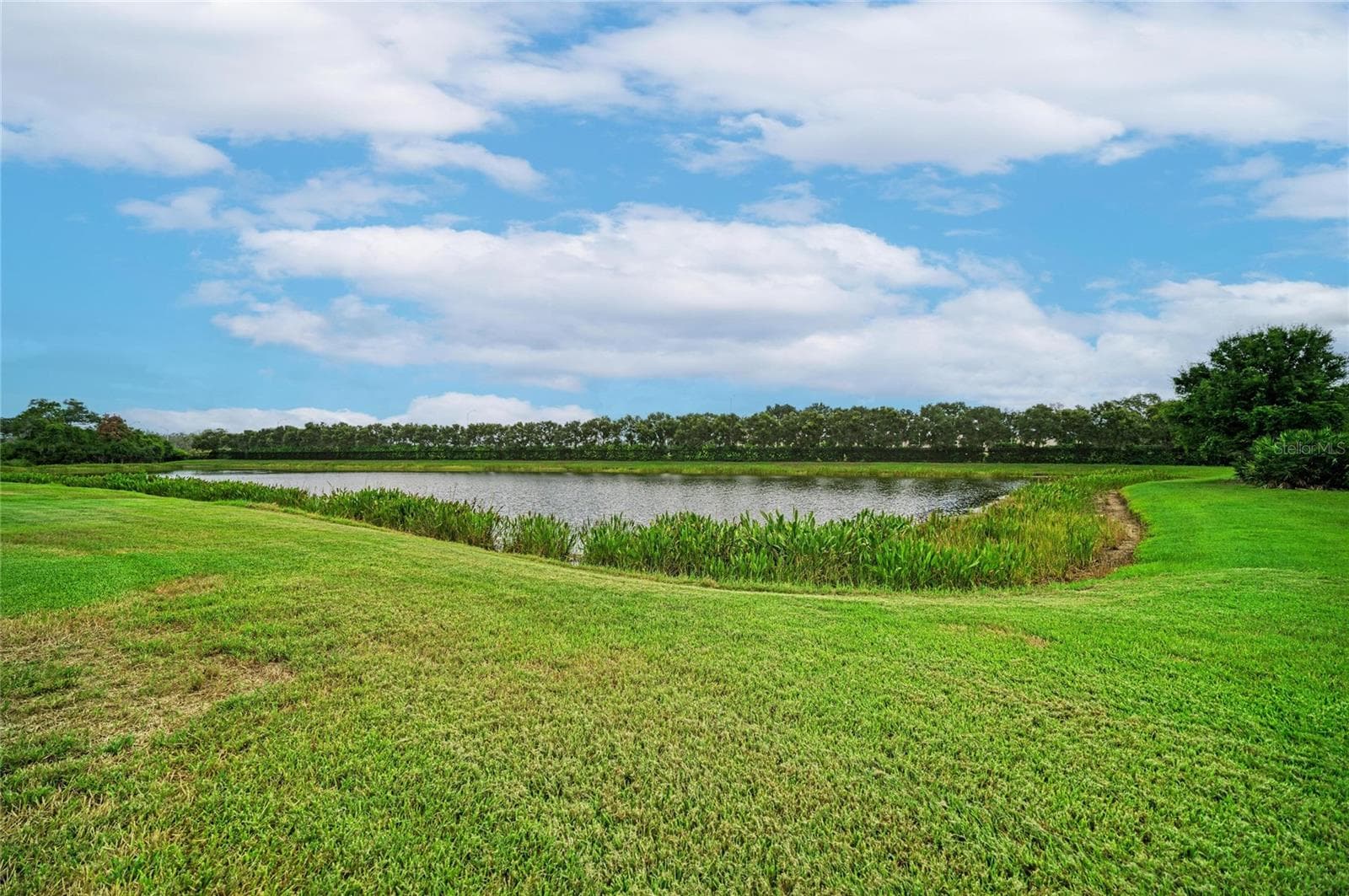 Single Family Residence at 10121 MARBELLA DR, BRADENTON, photo 53 of 99