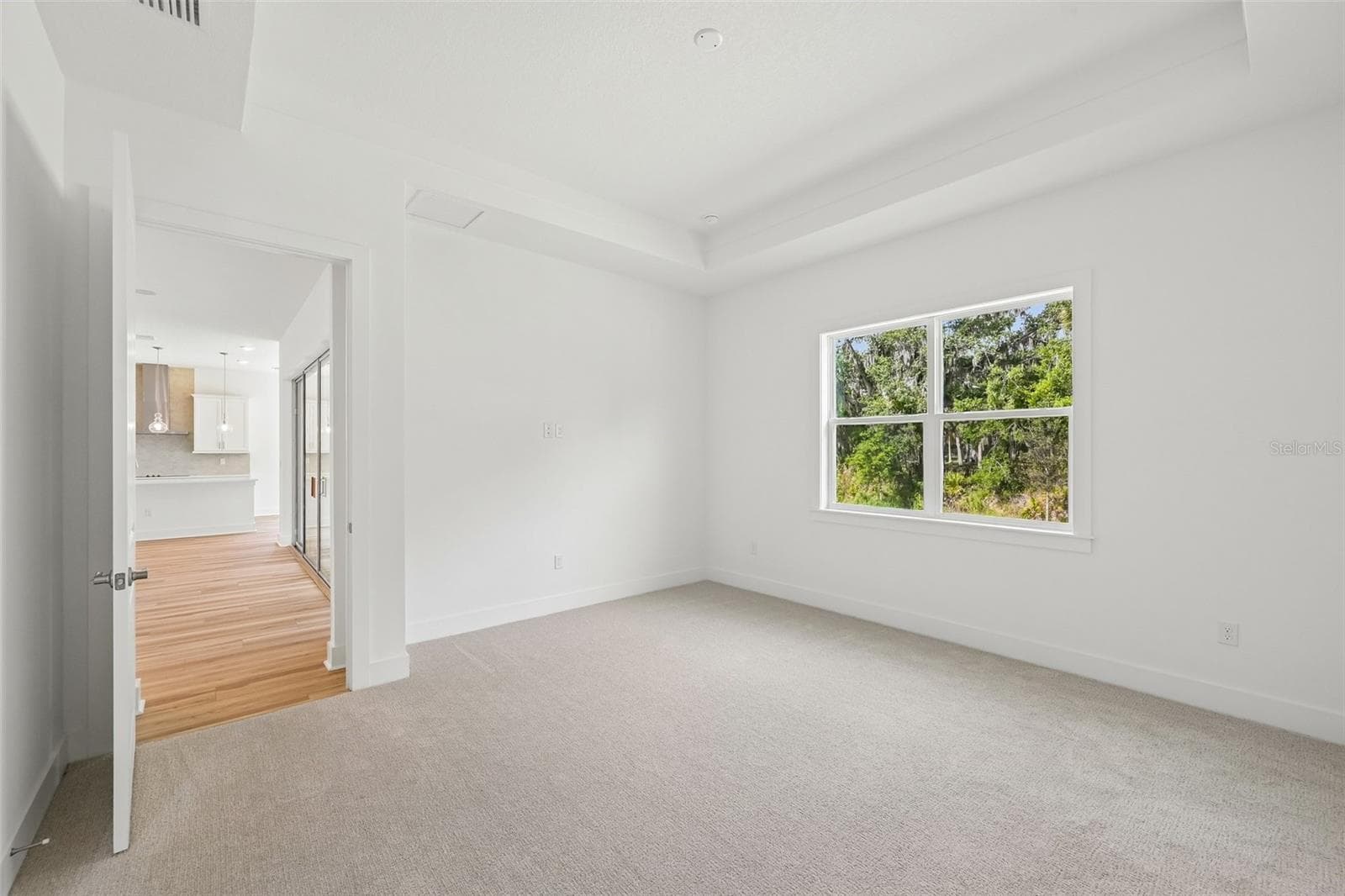 Single Family Residence at 12231 WHITE BLOSSOM CT, PARRISH, photo 21 of 41