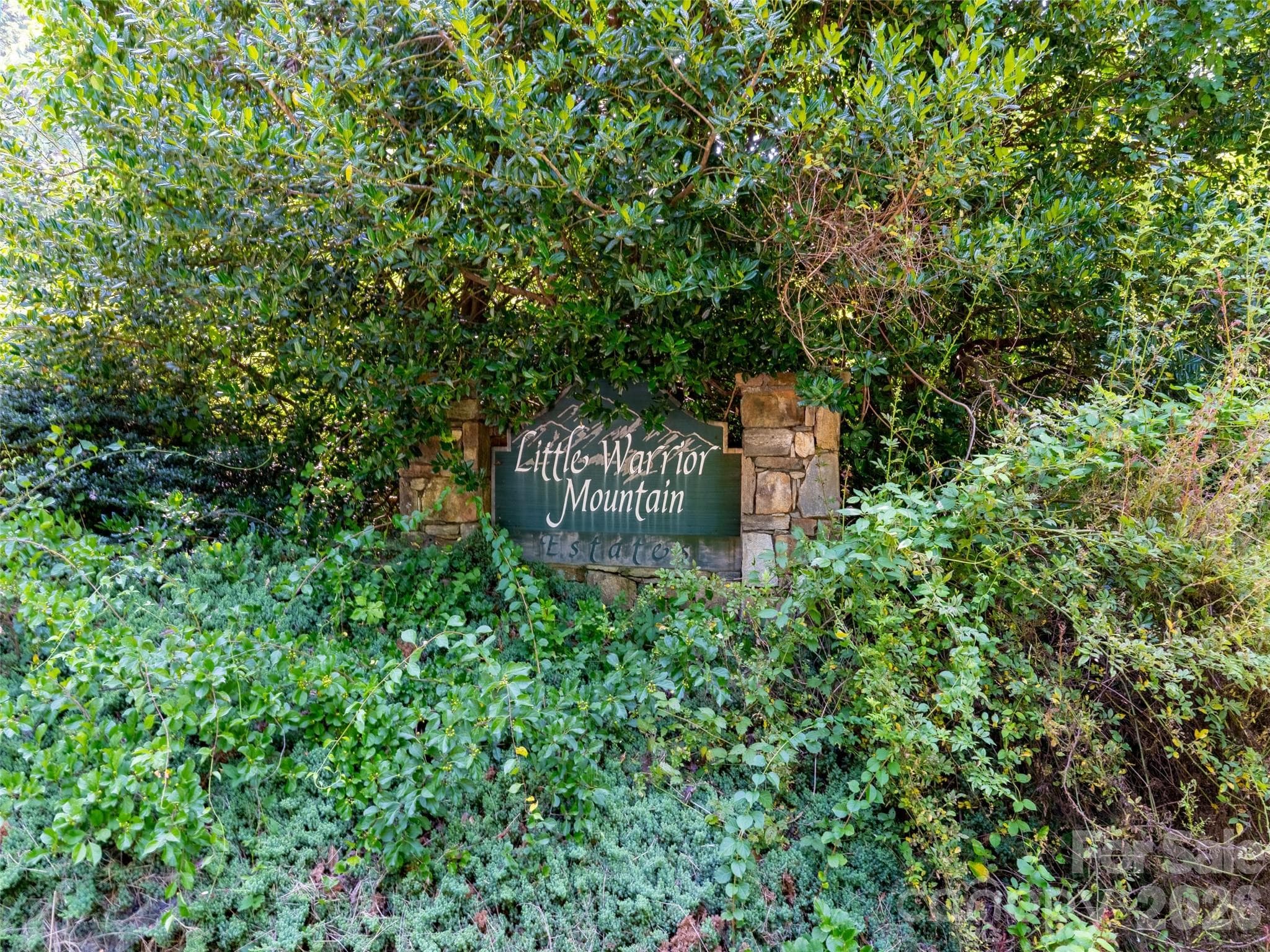 00 Rhododendron Drive