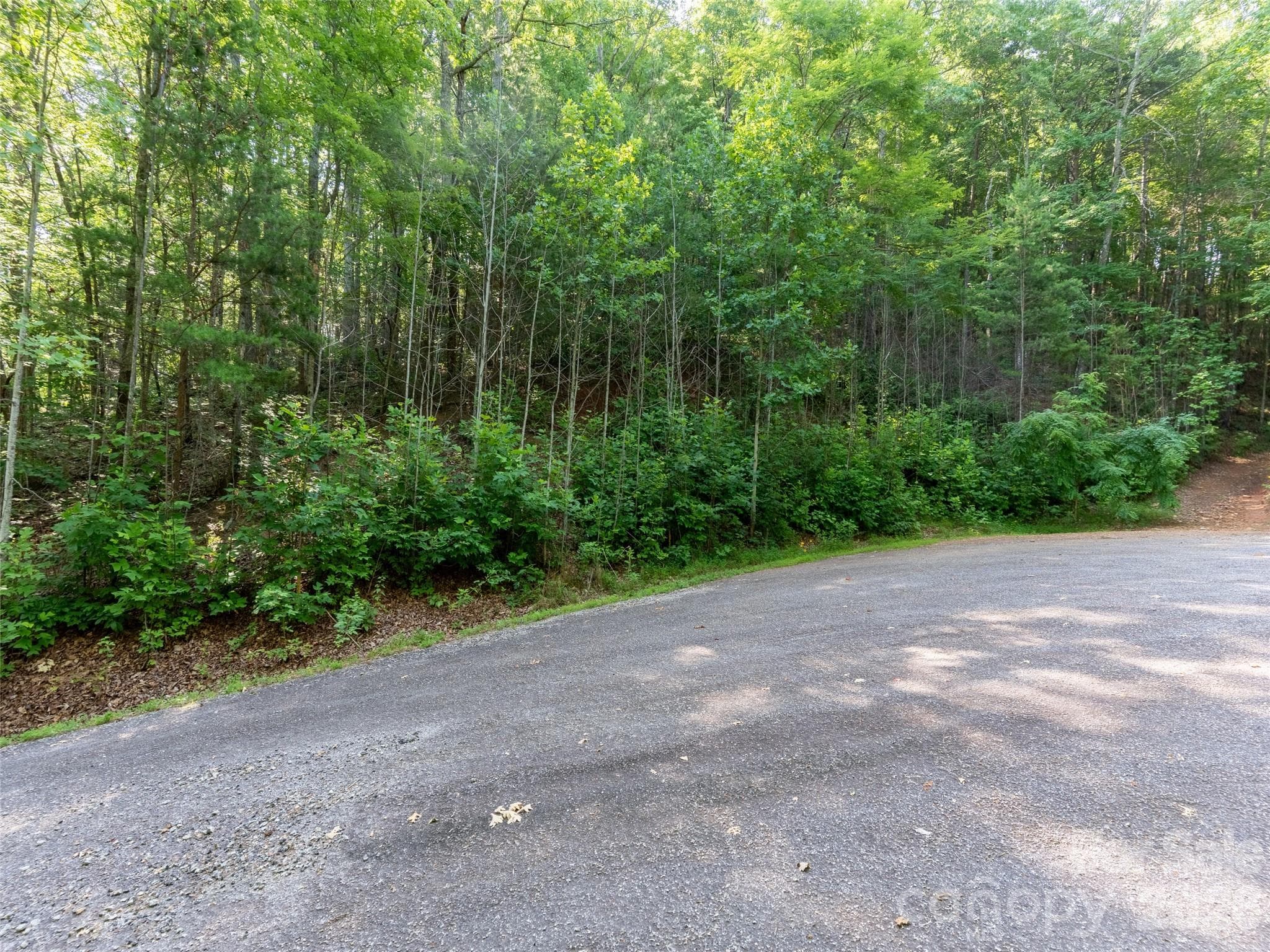 Lot at 00 Rhododendron Drive, Saluda, photo 2 of 17