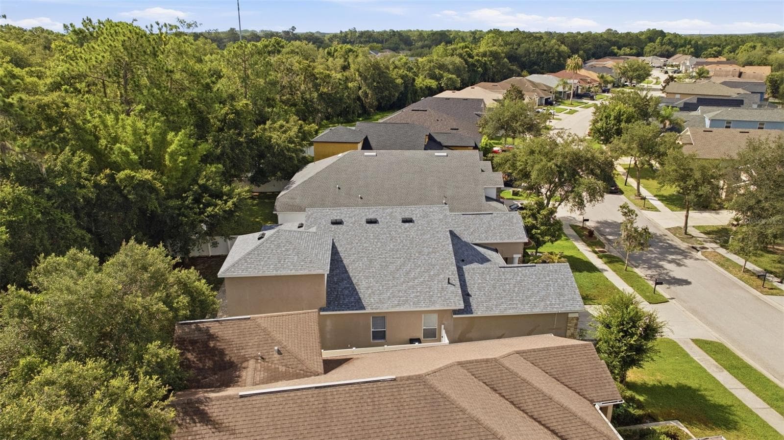 Single Family Residence at 6846 PINE SPRINGS, WESLEY CHAPEL, photo 55 of 62