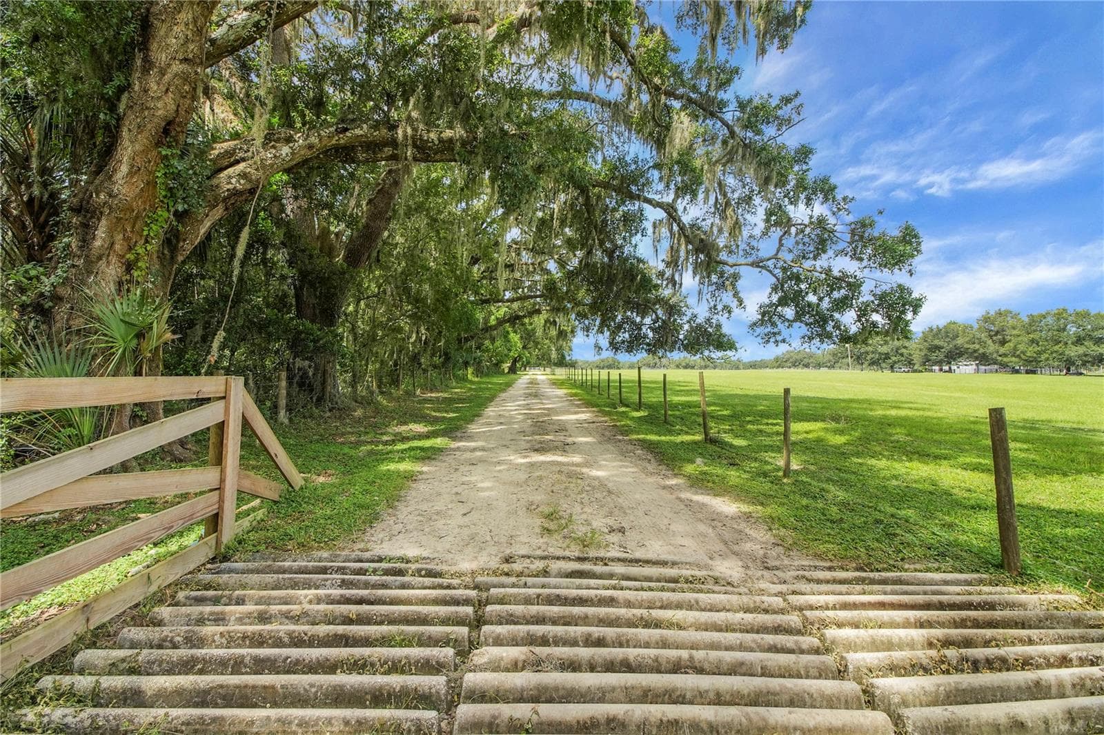 Drive way to home - 10757 COUNTY ROAD 223, OXFORD