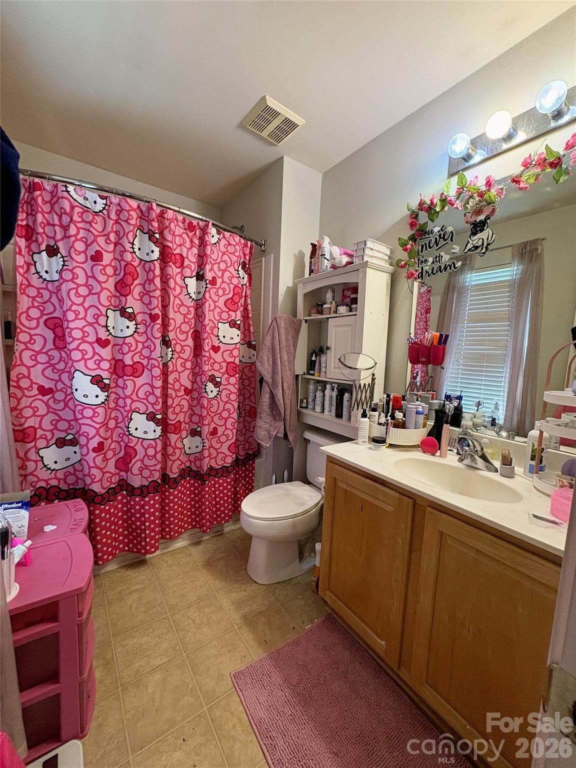 Primary bathroom - 11637 Coddington Ridge Drive, Charlotte