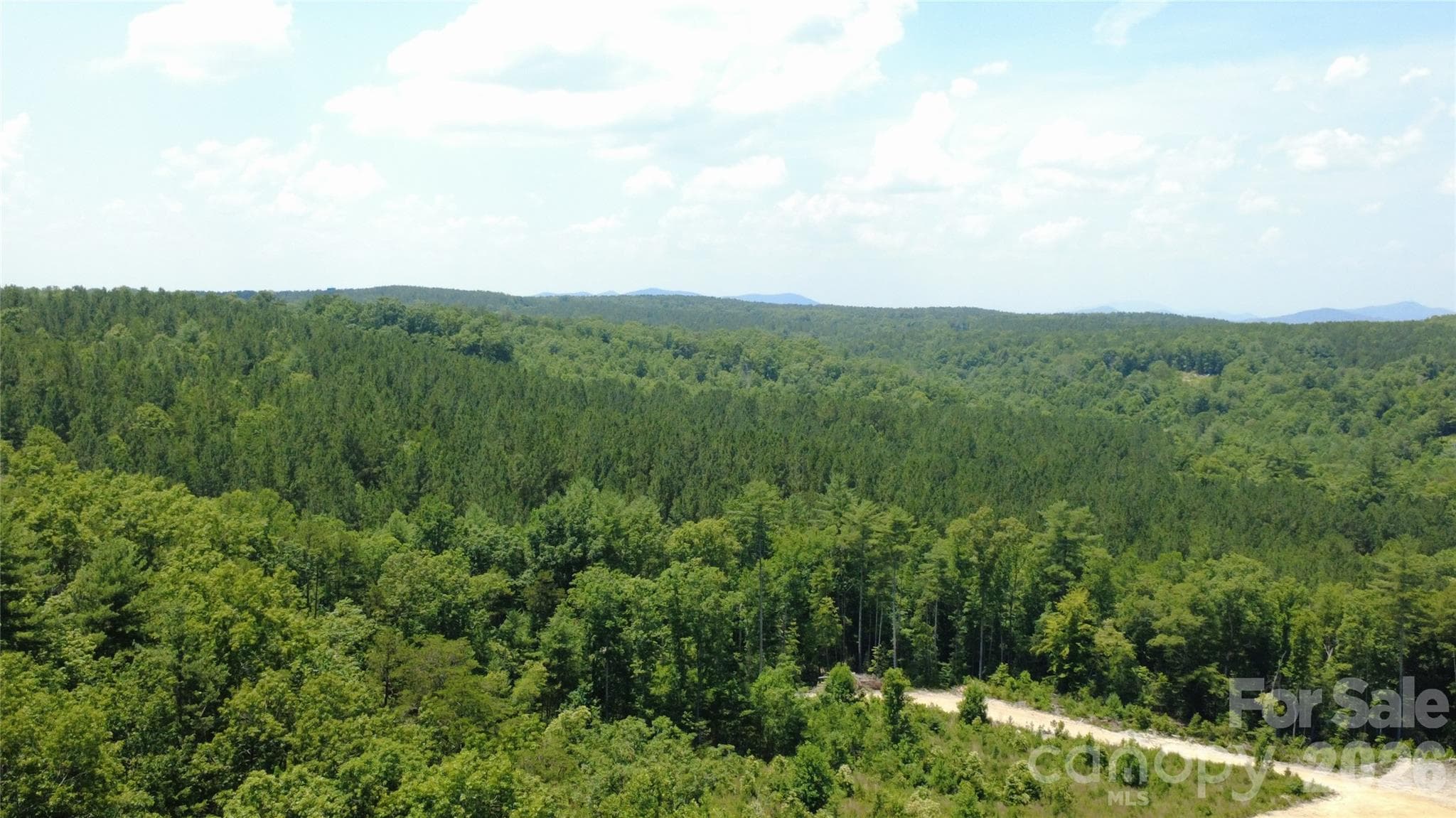 Acreage at Morganton, photo 2 of 26