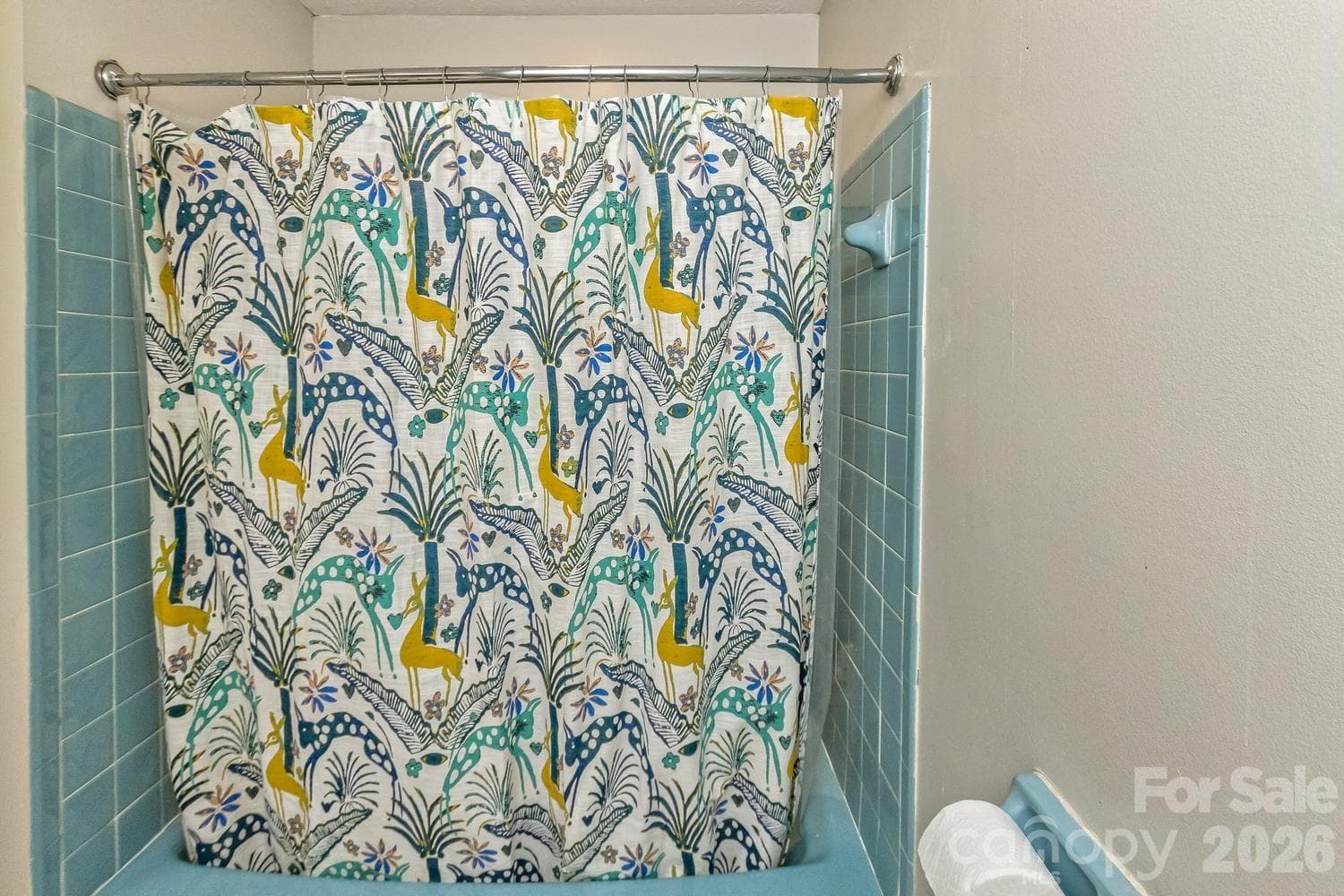 Main level full bath - Asheville
