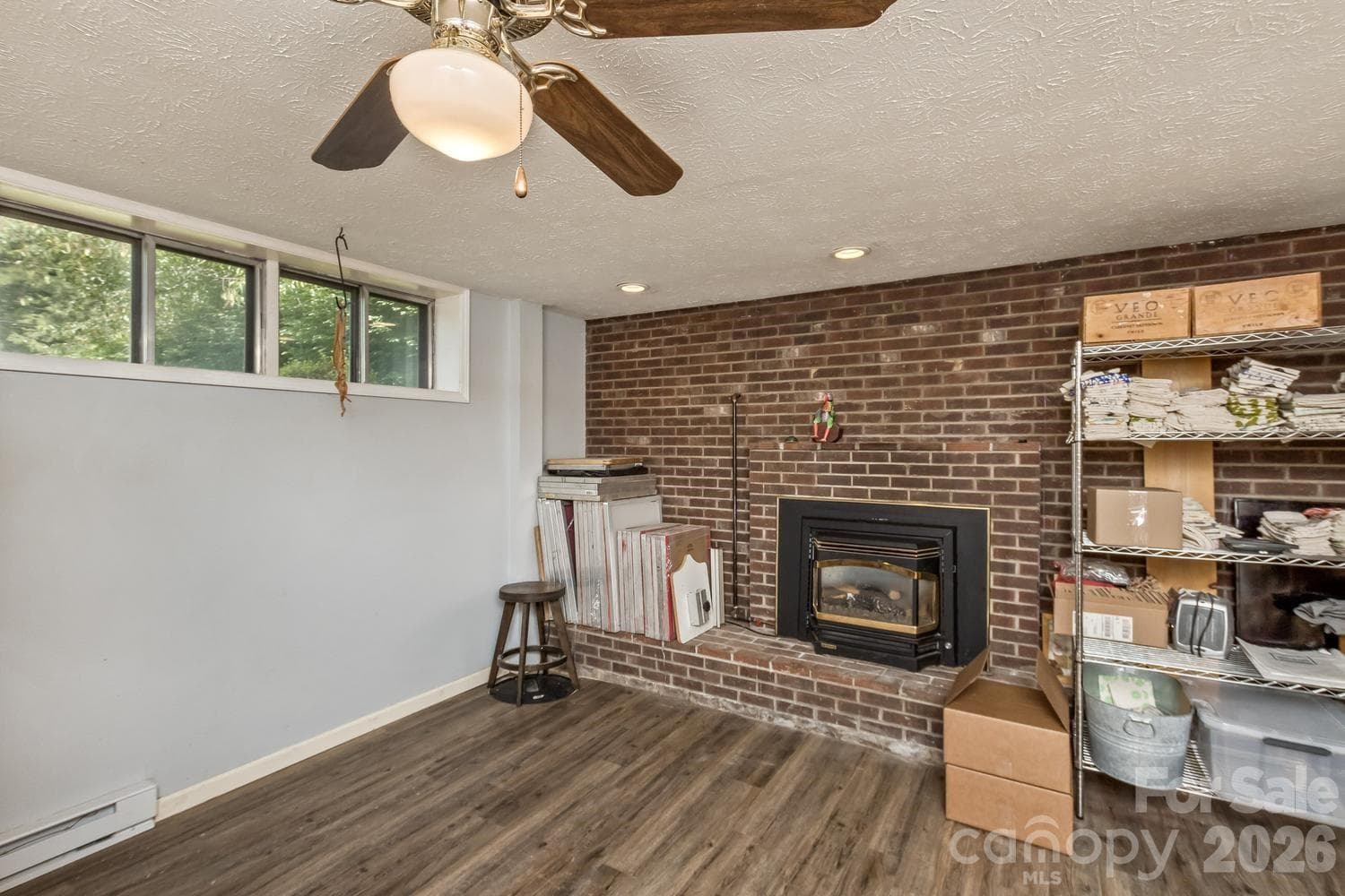 Lower level living room currently being used for business purposes - Asheville