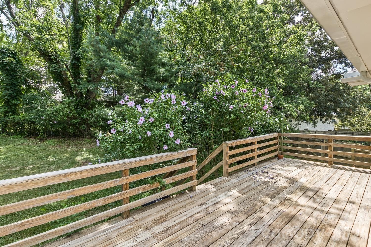 Back deck - private and perfect for relaxing - Asheville