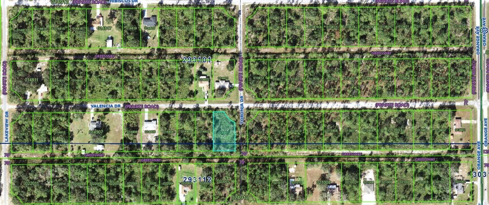 Land at 901 VALENCIA DR, INDIAN LAKE ESTATES, photo 3 of 15