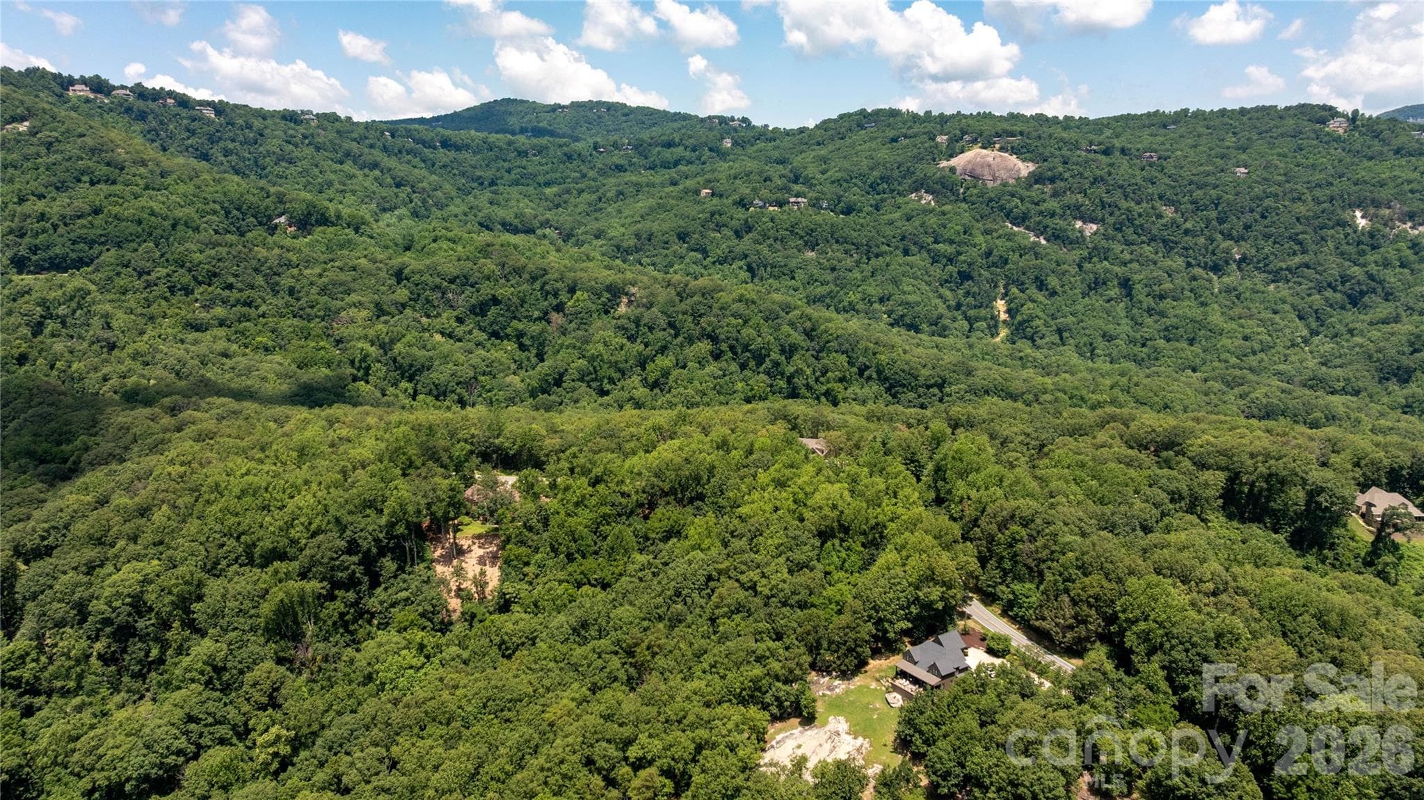 Lot at Lot 22 Plumley Summit Road, Landrum, photo 8 of 27