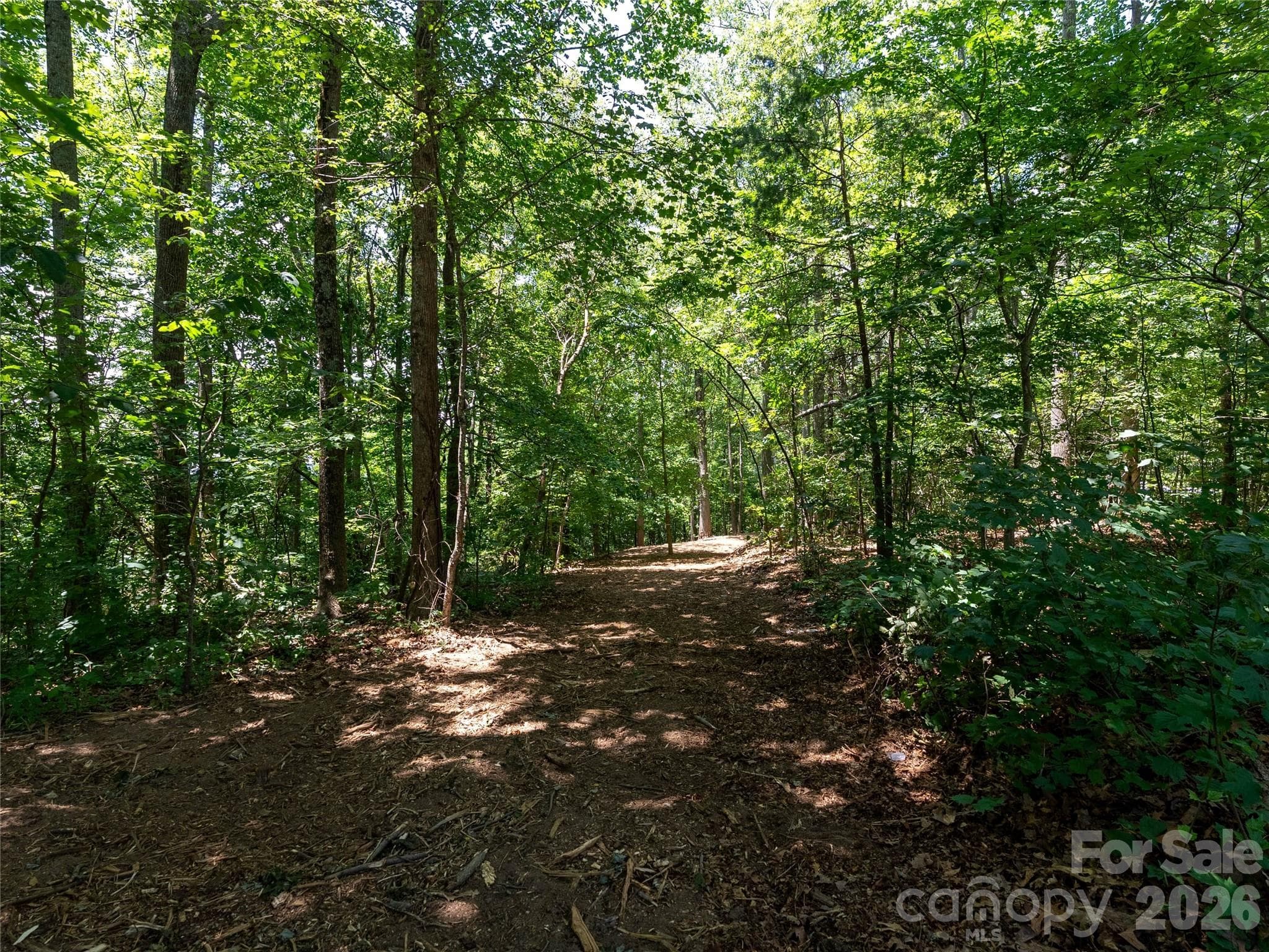 Lot at Lot 22 Plumley Summit Road, Landrum, photo 15 of 27