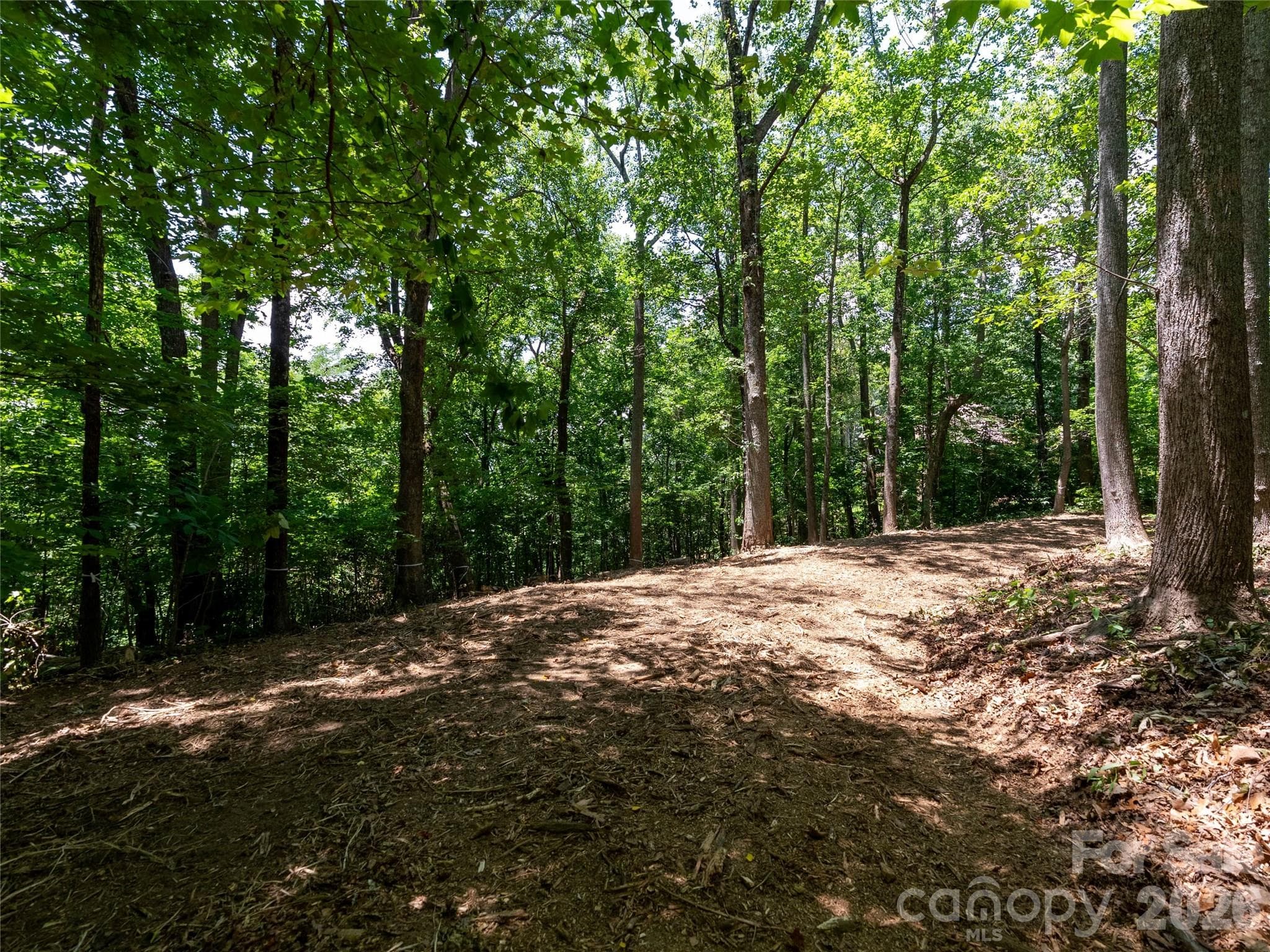 Lot at Lot 22 Plumley Summit Road, Landrum, photo 16 of 27