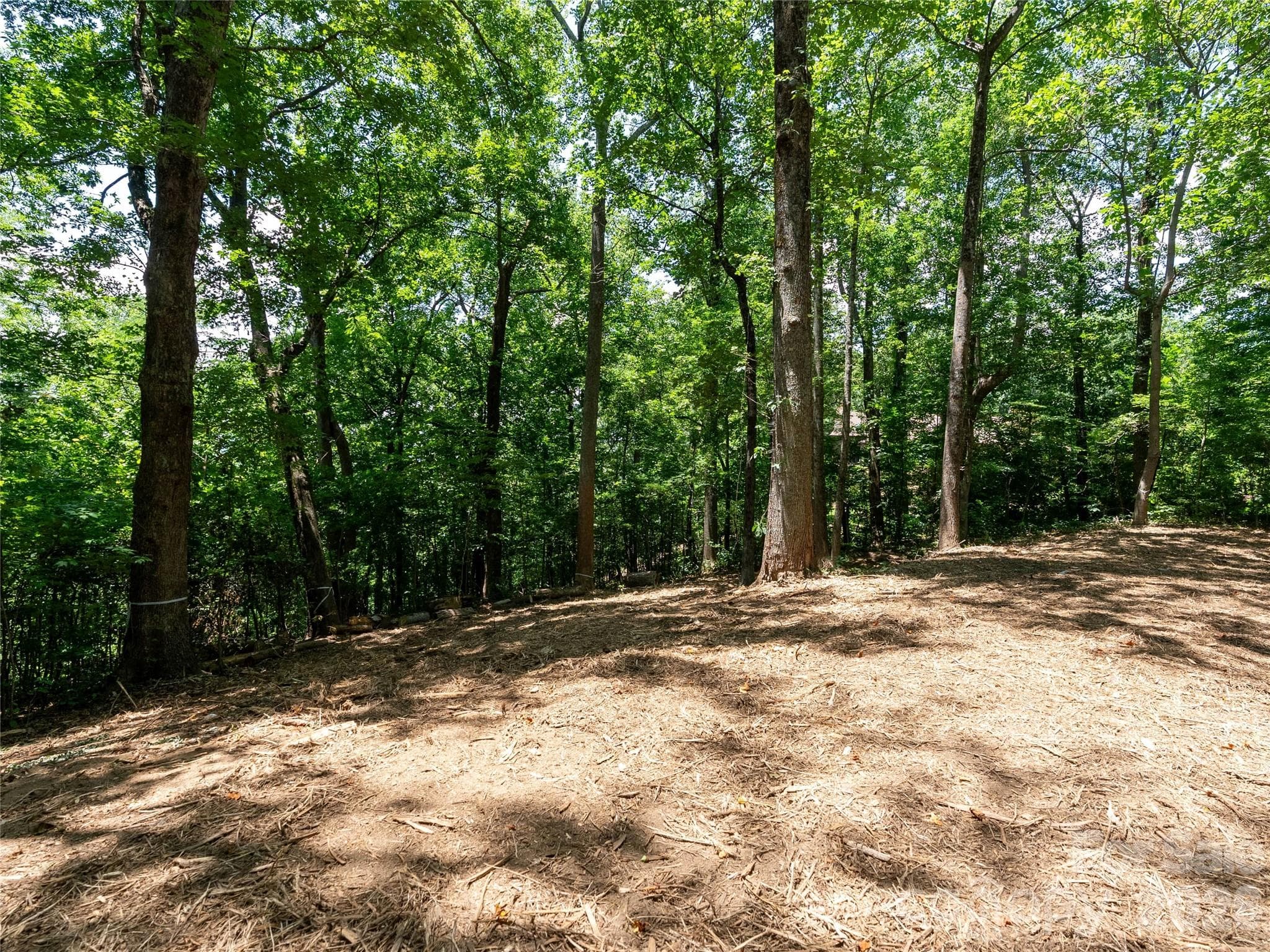 Lot at Lot 22 Plumley Summit Road, Landrum, photo 17 of 27