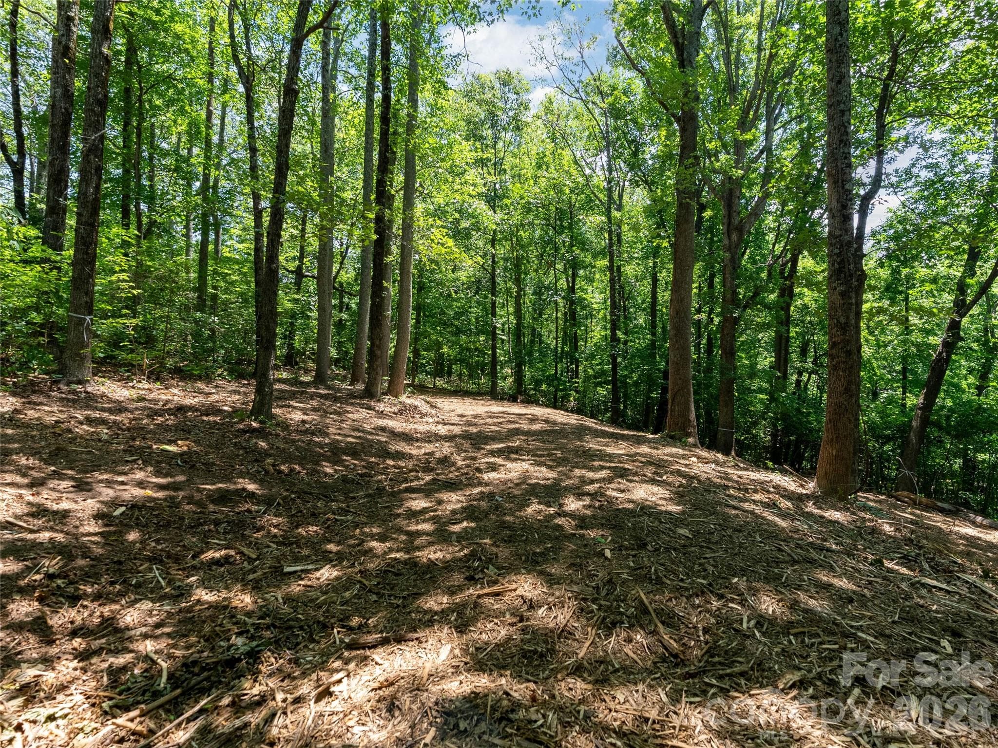 Lot at Lot 22 Plumley Summit Road, Landrum, photo 18 of 27