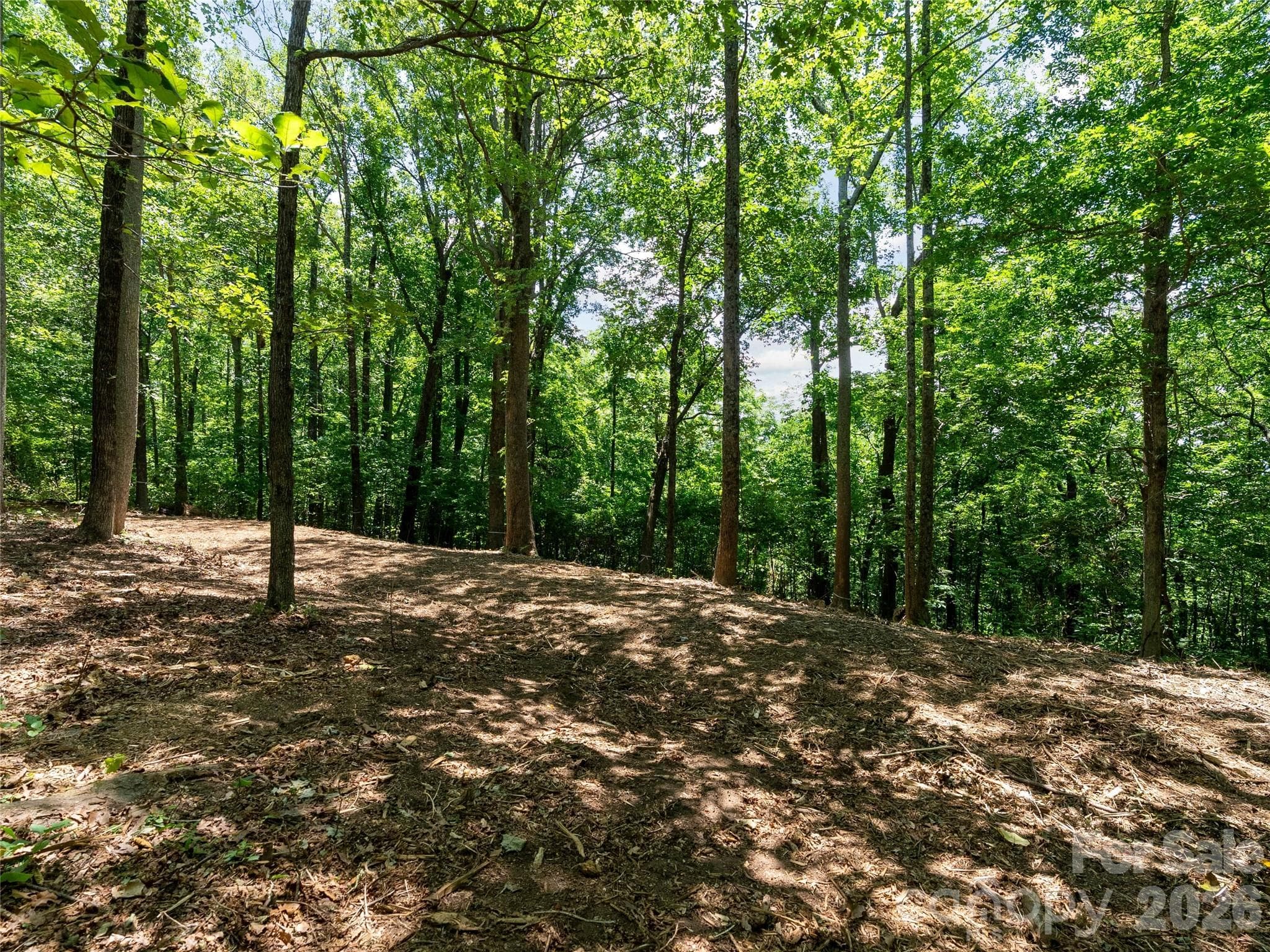 Lot at Lot 22 Plumley Summit Road, Landrum, photo 19 of 27
