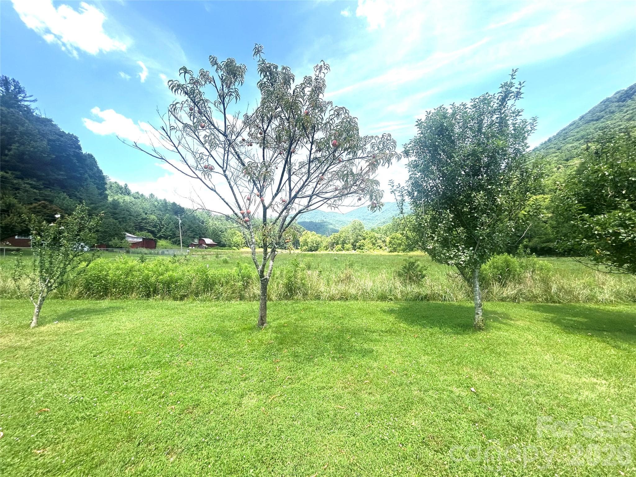 Single Family Residence at 10755 NC 209 Highway, Hot Springs, photo 13 of 43