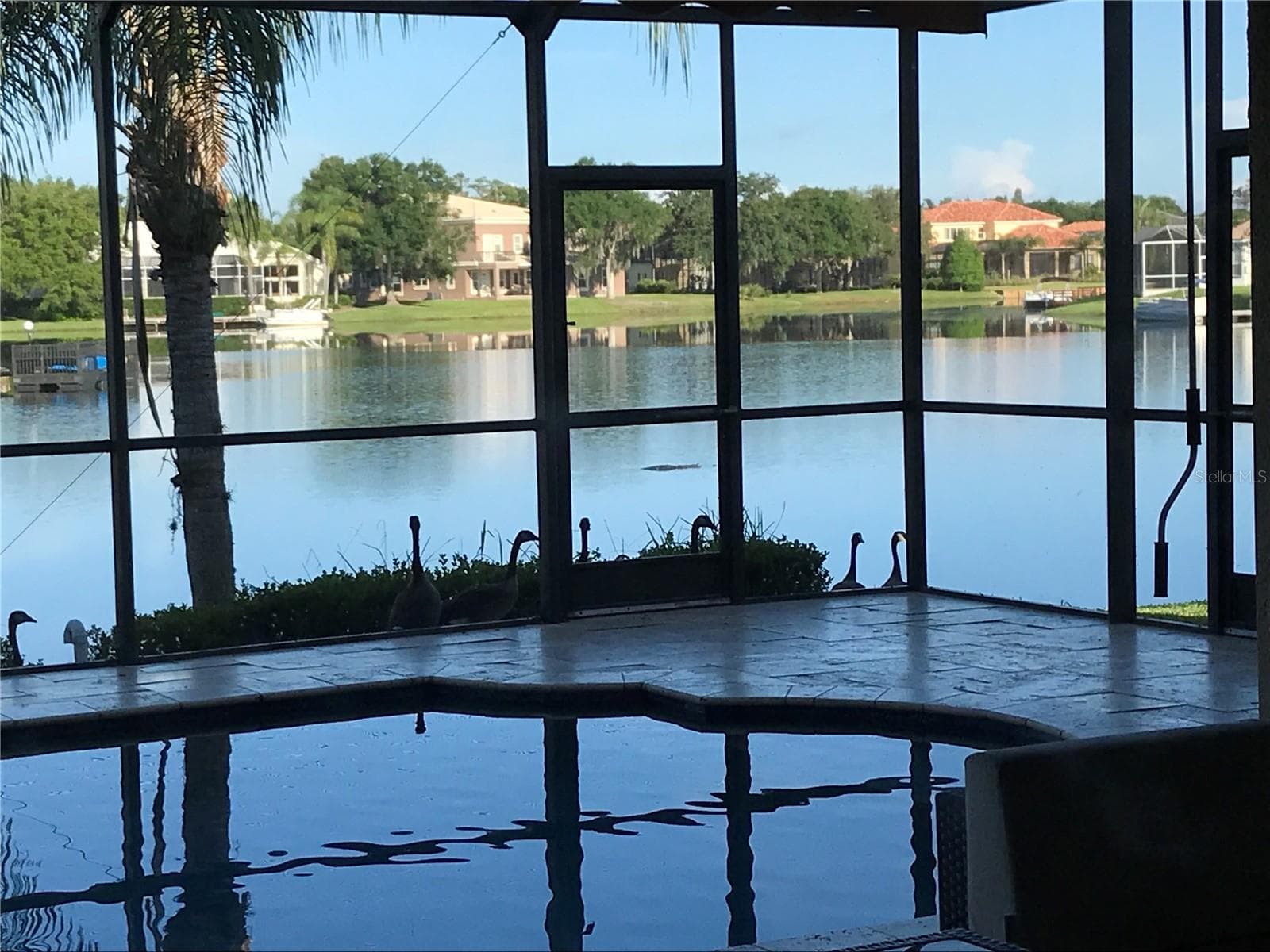 Single Family Residence at 18018 JAVA ISLE DR, TAMPA, photo 11 of 73