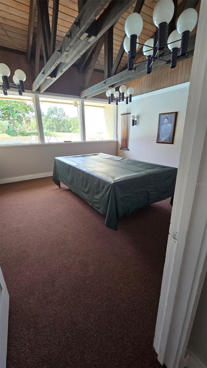 clubhouse pool table - 13626 GREENFIELD DR #201, TAMPA