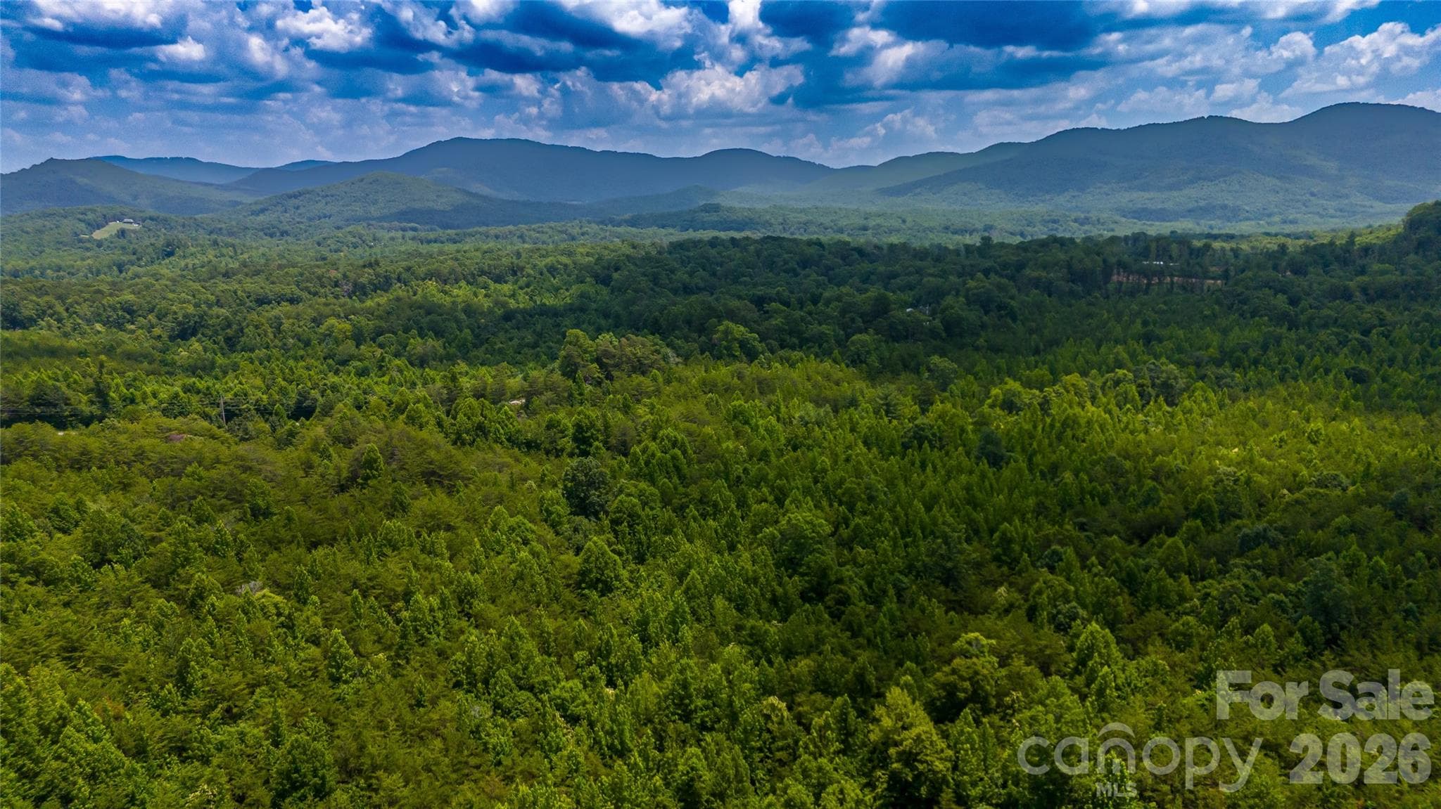 Acreage at Morganton, photo 2 of 21