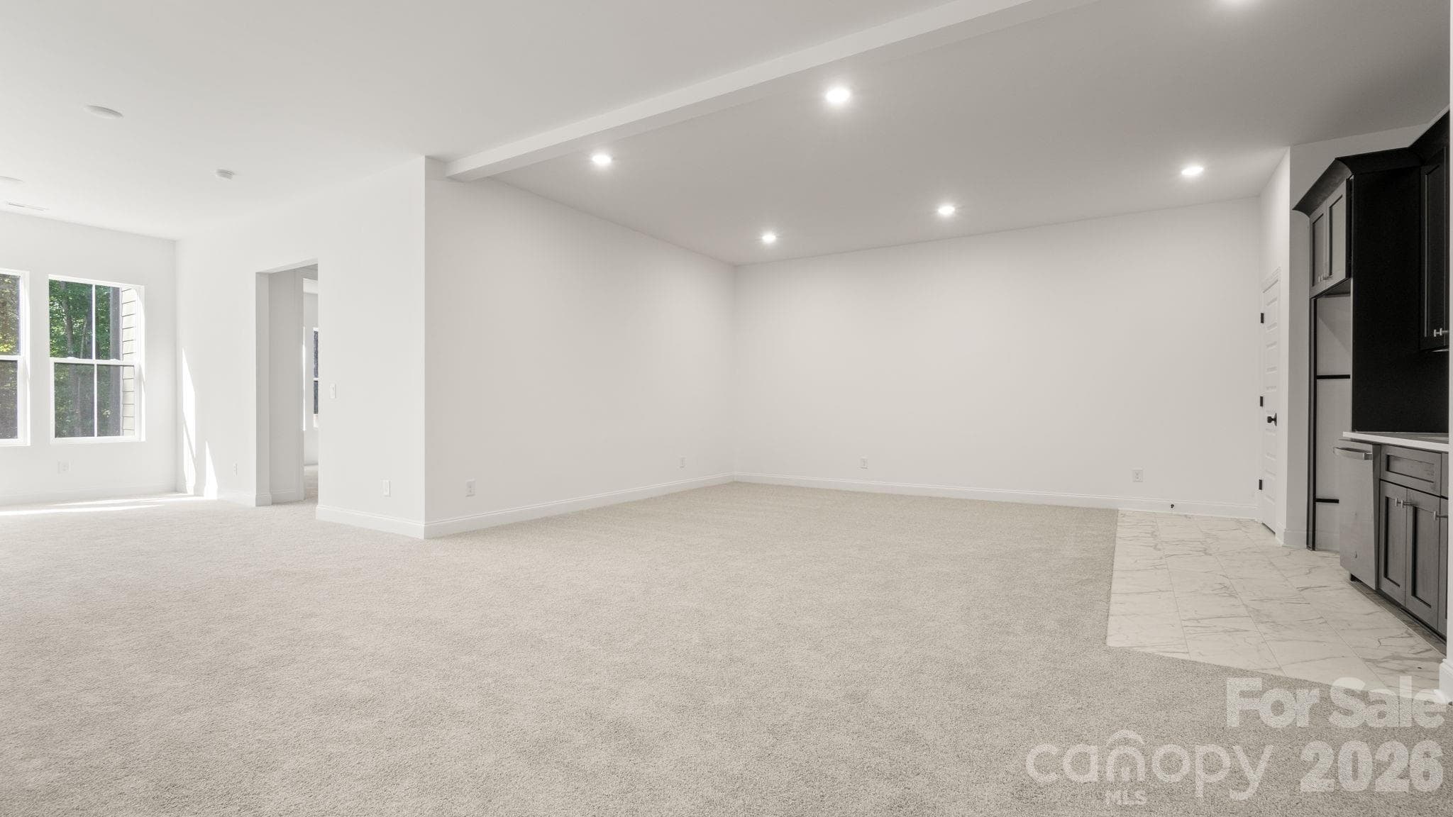 Basement Kitchenette and living room space - 6774 Kingfisher Court, Denver