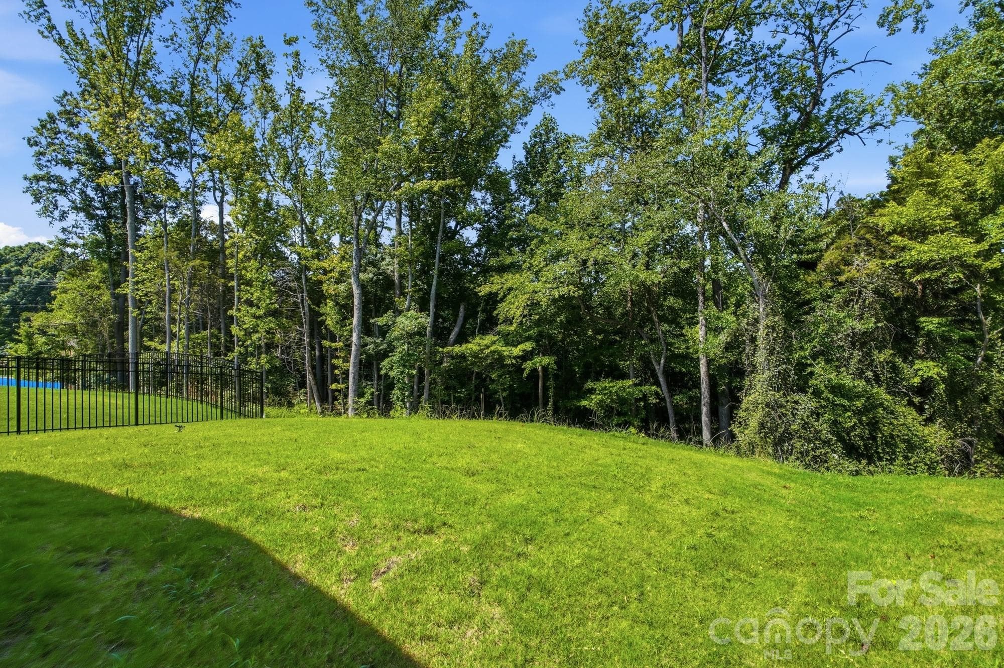 Backyard - Charlotte