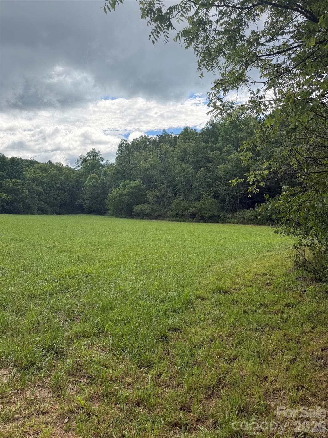 3539 Parker Padgett Road