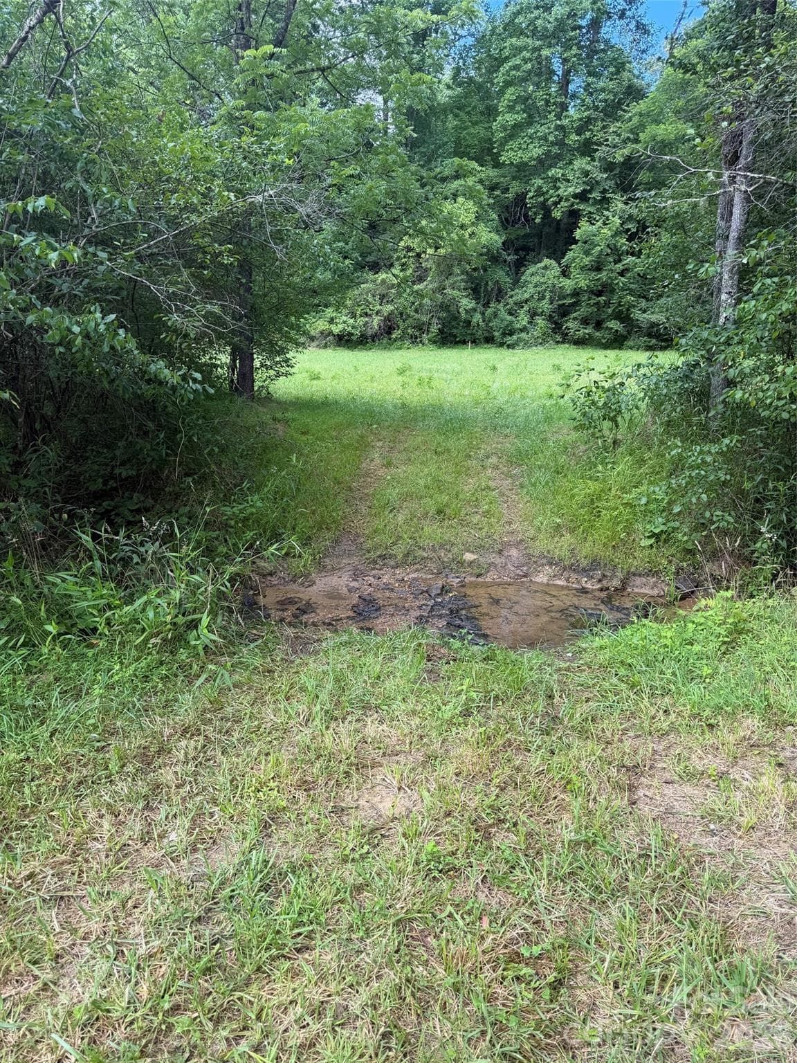 Lot at 3605 Parker Padgett Road, Old Fort, photo 3 of 6