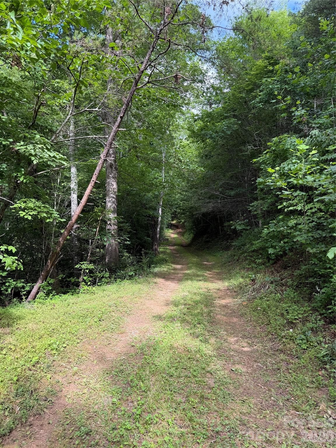Access Road - 3605 Parker Padgett Road, Old Fort