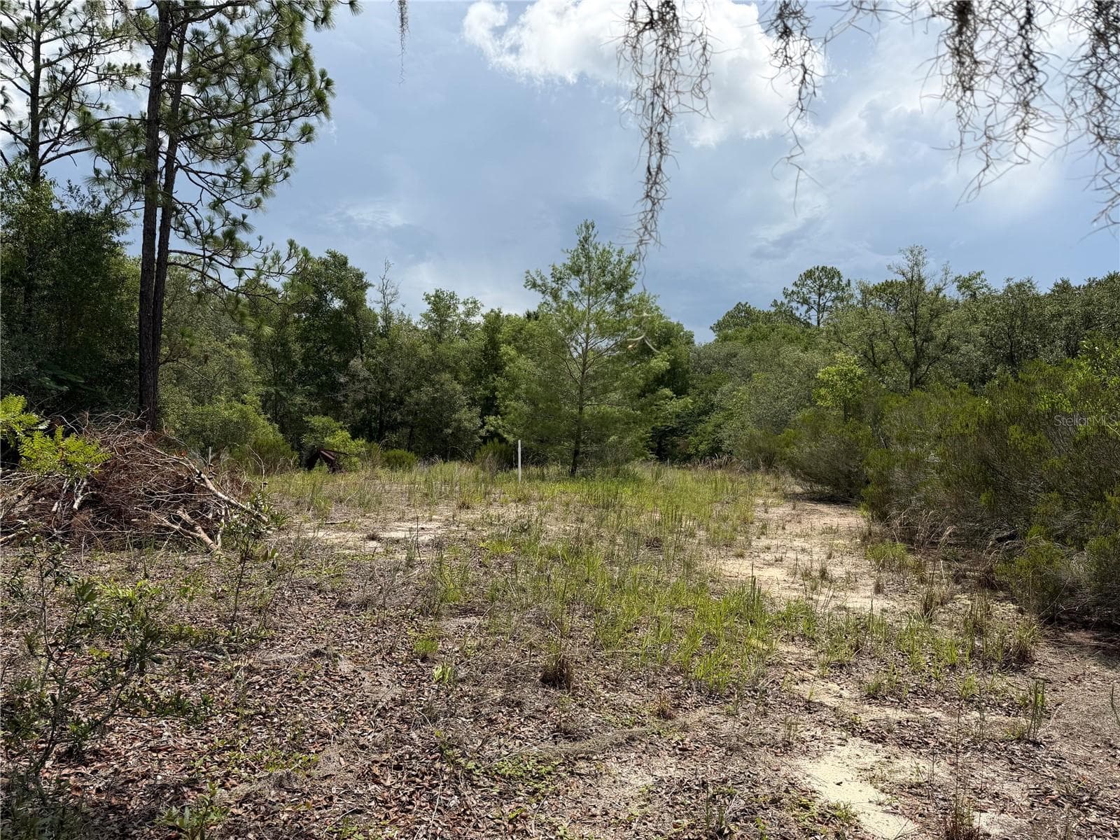 Land at 9730 NE STATE ROAD 24, ARCHER, photo 12 of 46