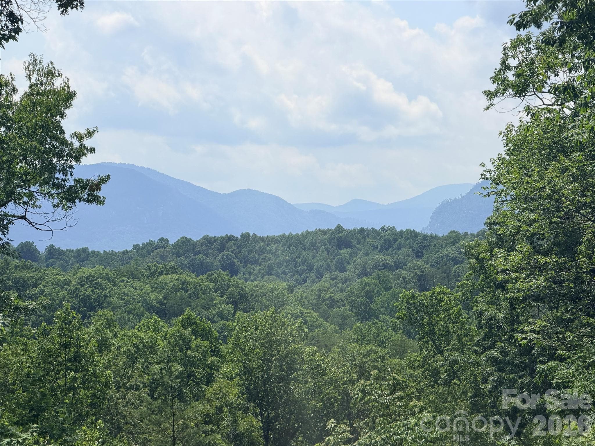 Lot at Lake Lure, photo 2 of 14