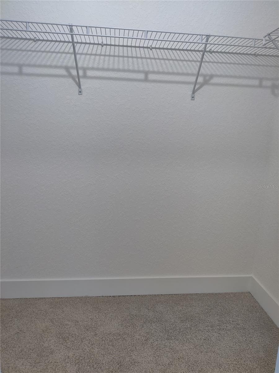 Walk-In Closet - 1 CHRYSANTHEMUM CT, HOMOSASSA
