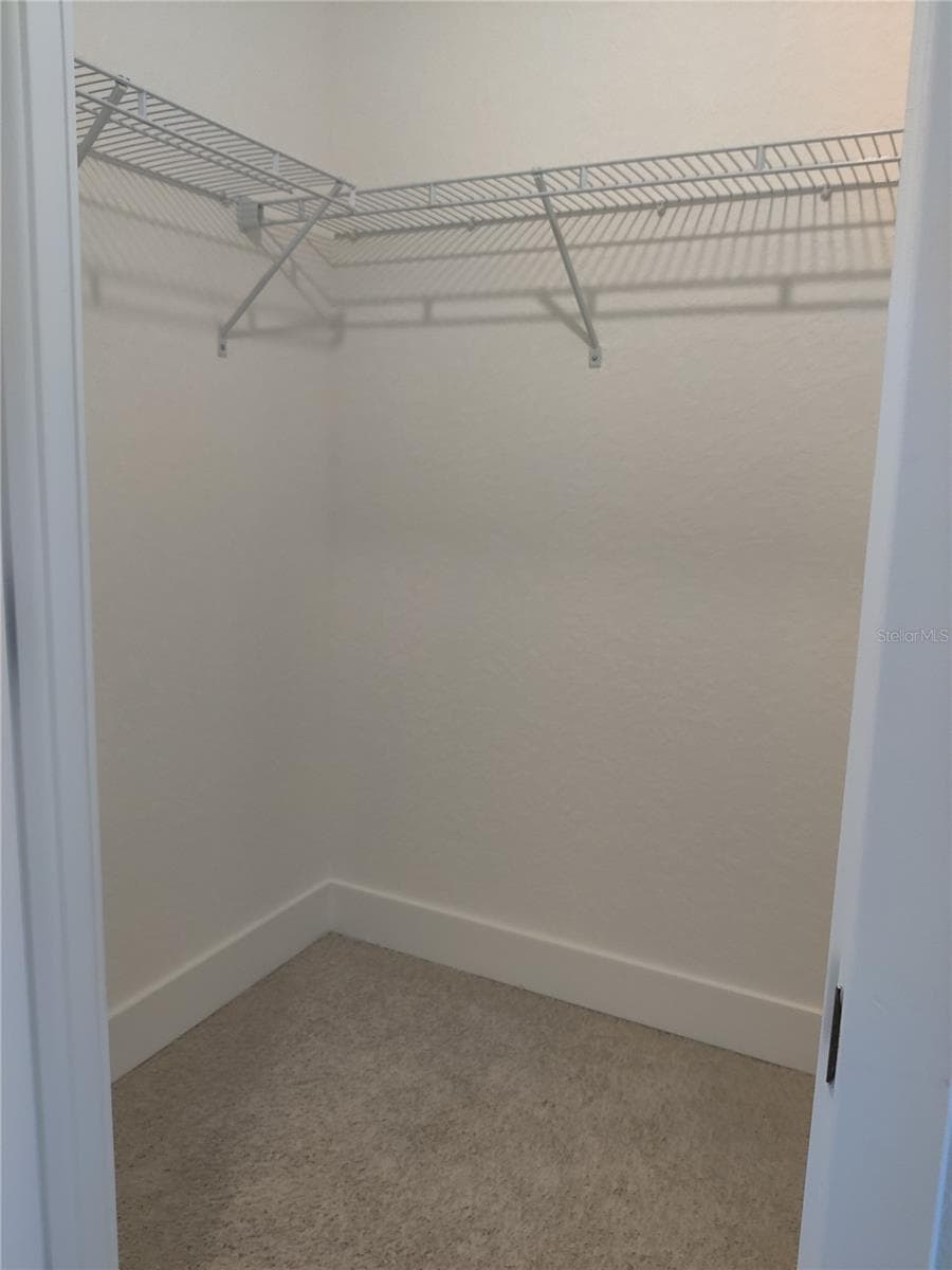 Walk-In Closet - 1 CHRYSANTHEMUM CT, HOMOSASSA