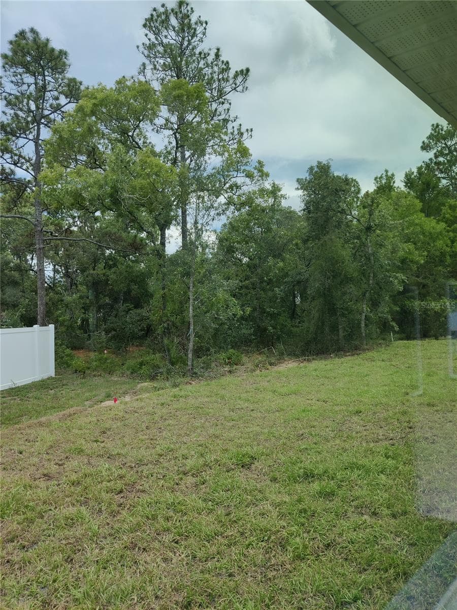 Back Yard - 1 CHRYSANTHEMUM CT, HOMOSASSA