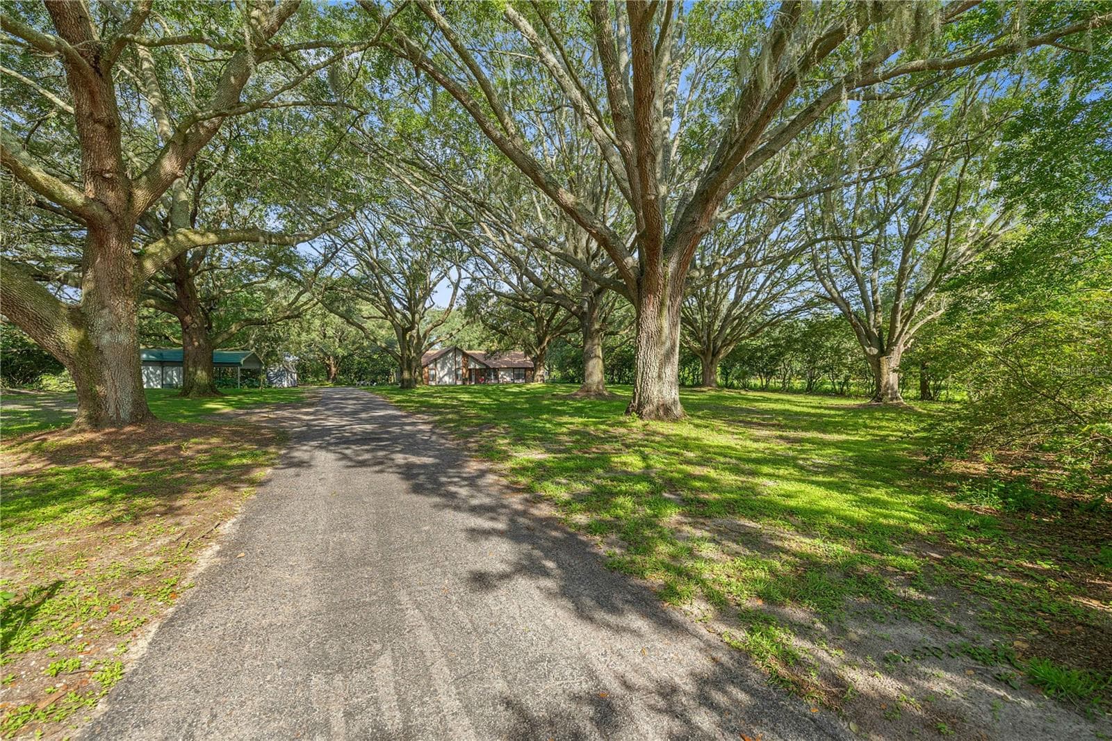 Single Family Residence at 16250 SW 20TH AVENUE RD, OCALA, photo 4 of 75