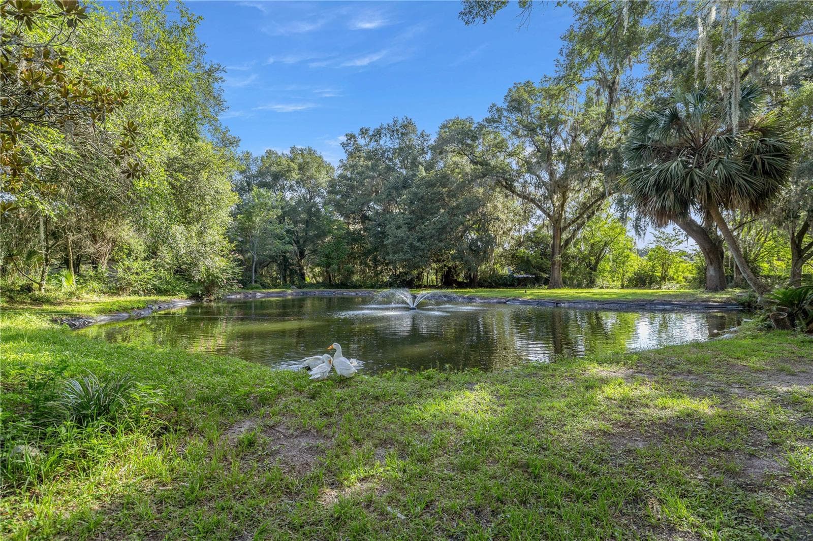 Single Family Residence at 16250 SW 20TH AVENUE RD, OCALA, photo 47 of 75
