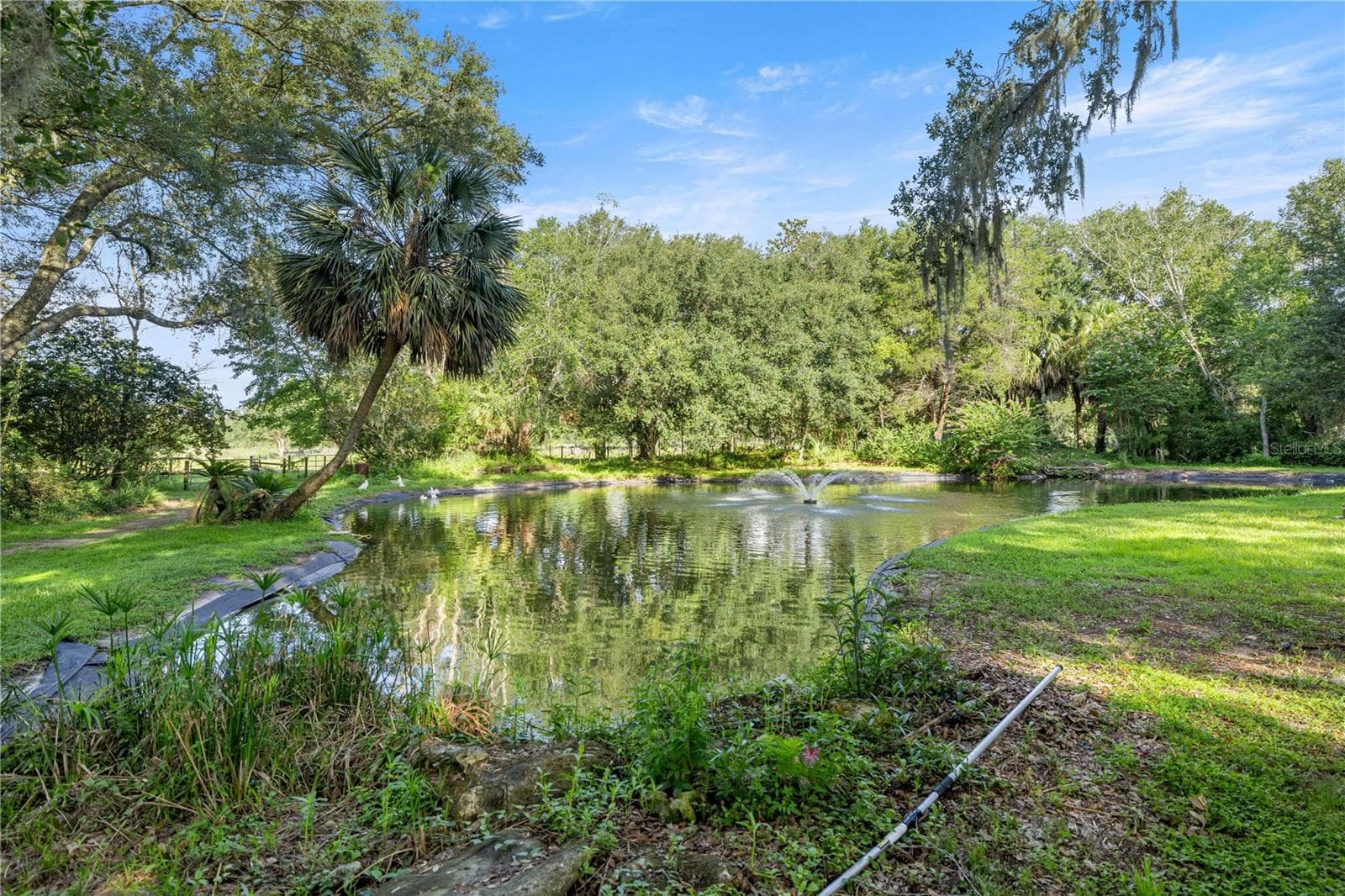 Single Family Residence at 16250 SW 20TH AVENUE RD, OCALA, photo 48 of 75