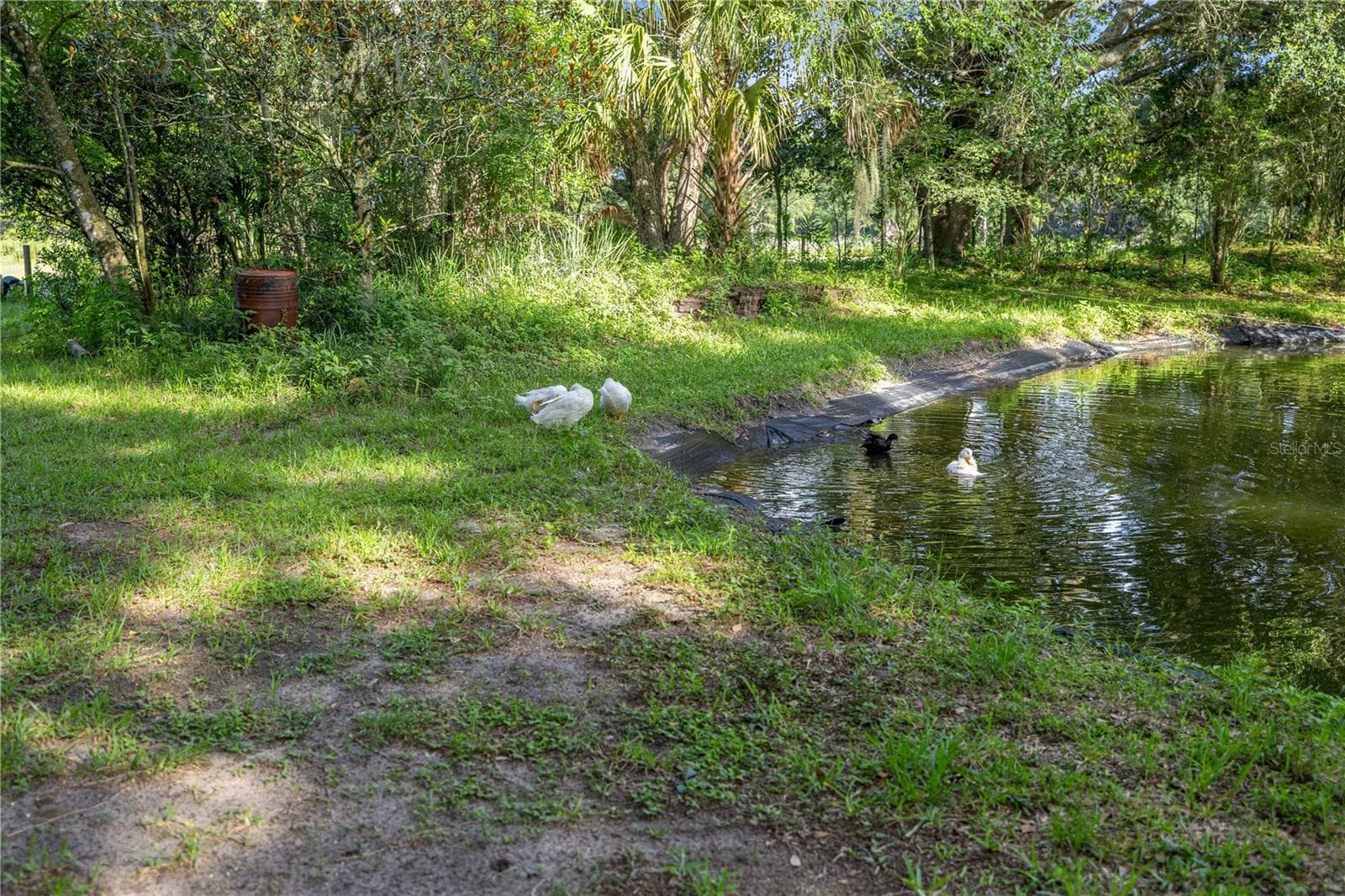 Single Family Residence at 16250 SW 20TH AVENUE RD, OCALA, photo 51 of 75