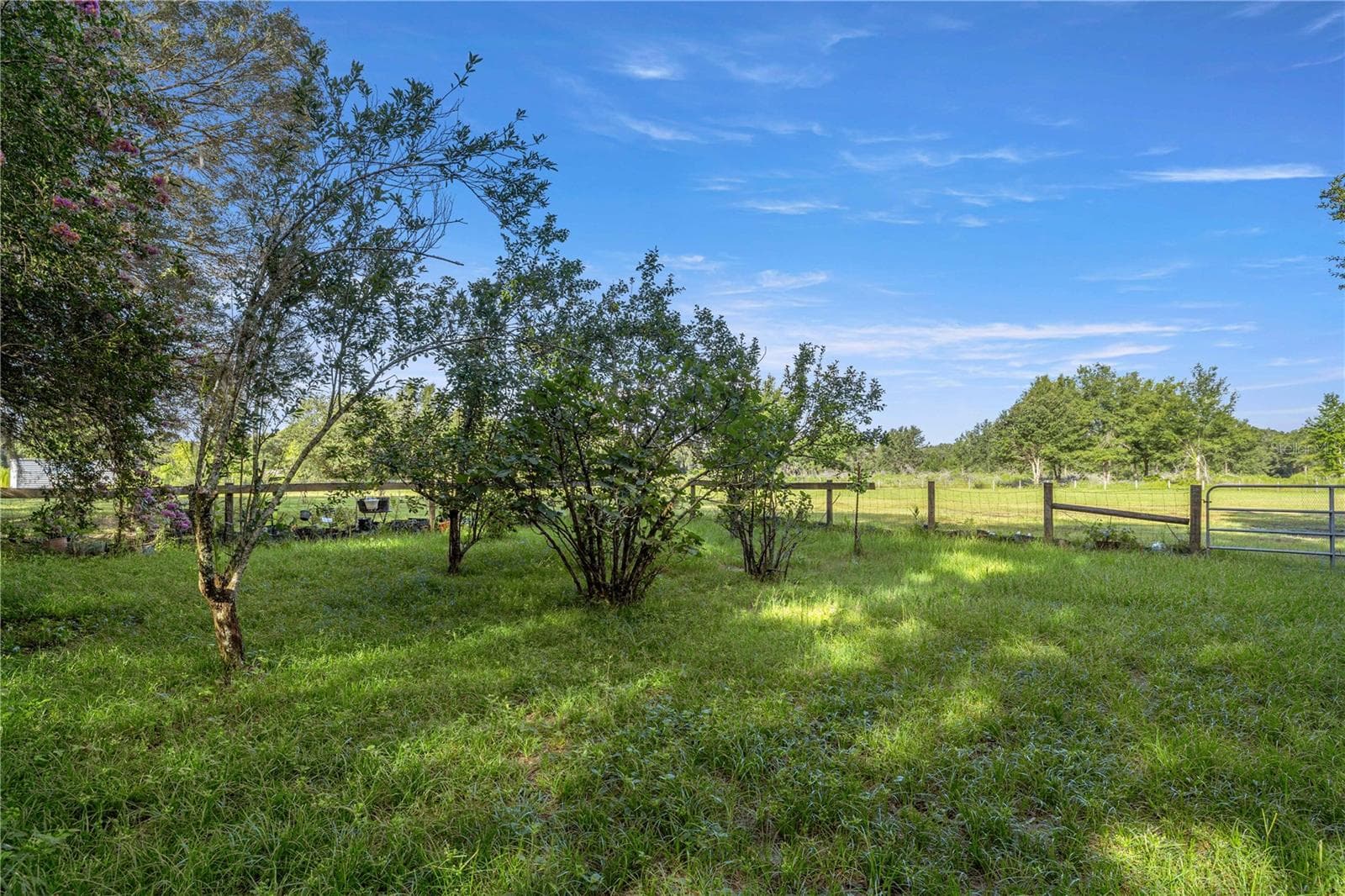 Single Family Residence at 16250 SW 20TH AVENUE RD, OCALA, photo 60 of 75