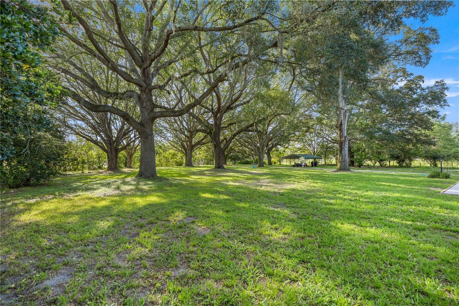 Single Family Residence at 16250 SW 20TH AVENUE RD, OCALA, photo 61 of 75