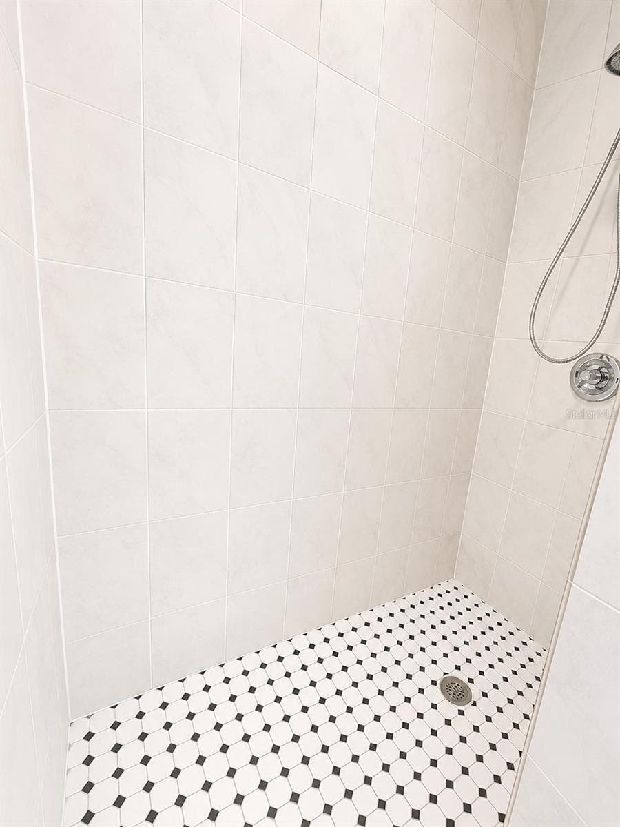 Master Bath walk in shower - 10800 US HIGHWAY 19 N #237, PINELLAS PARK