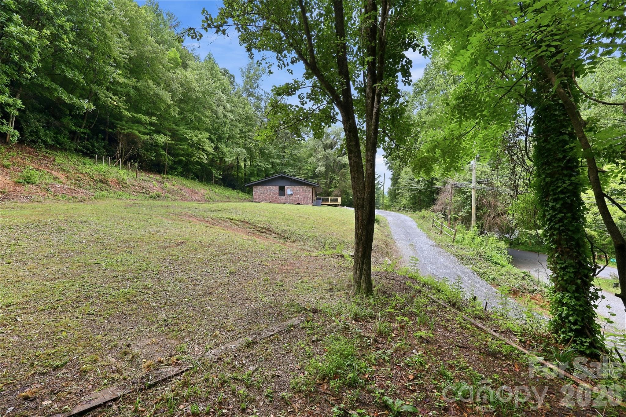 Driveway and Level Side Yard - Hendersonville