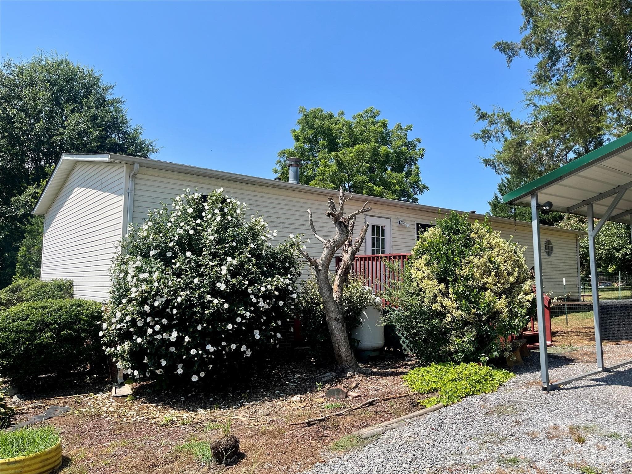 Back - Morganton